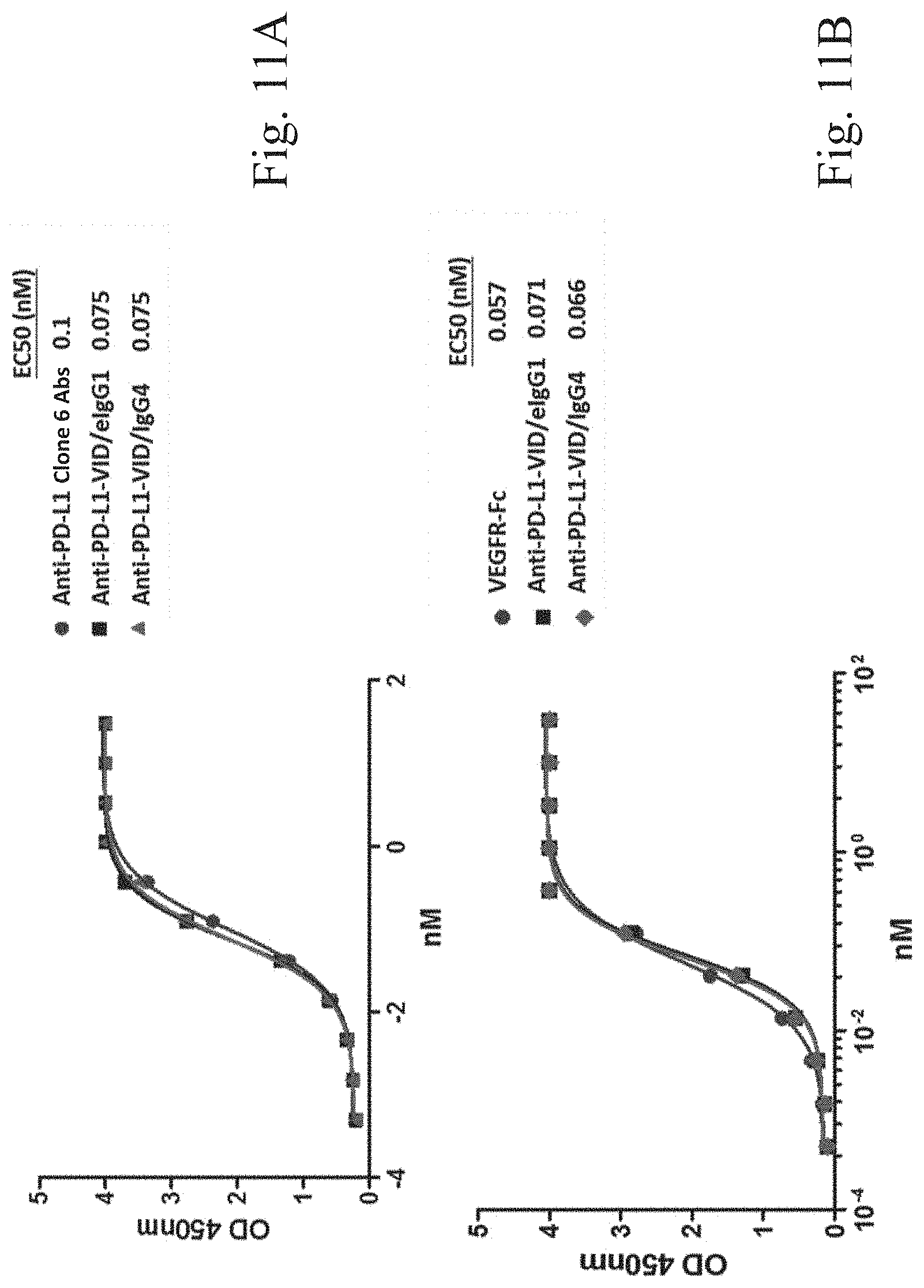 Patent US11780922 Figure 11 – Bifunctional proteins combining checkpoint blockade for targeted therapy
