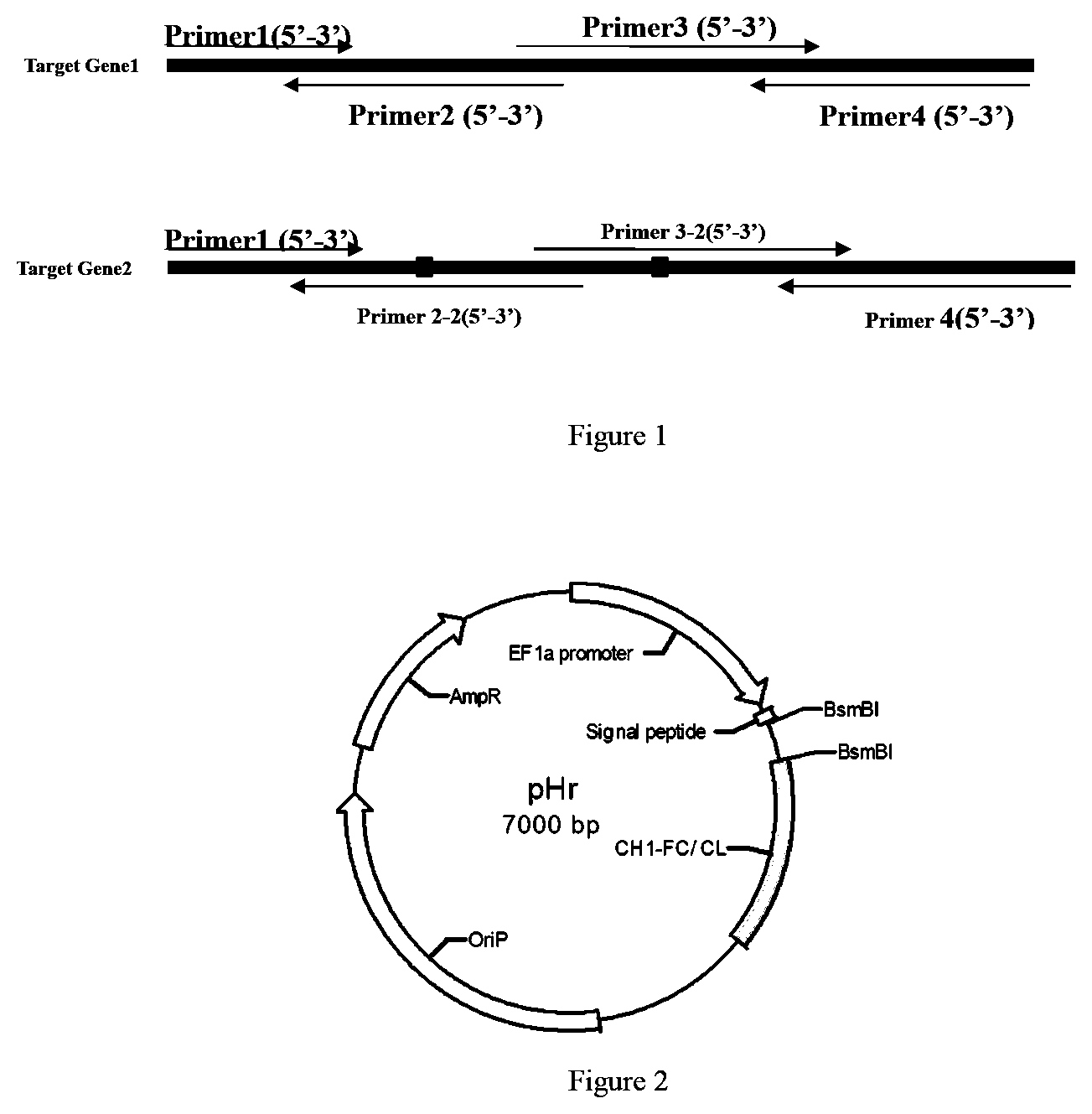 Patent US11780923 Figure 1 – PD-L1 antibody, antigen-binding fragment thereof and medical application thereof