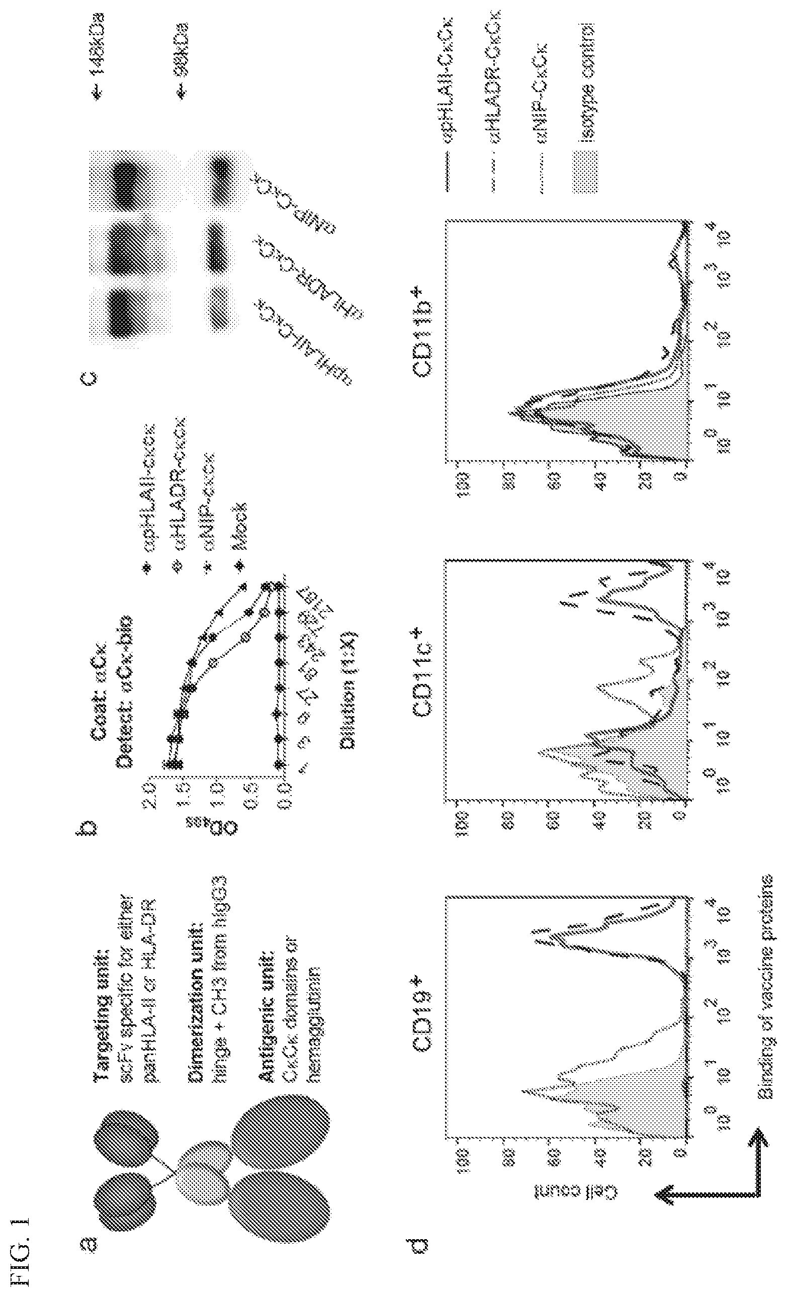 Patent US11780924 Figure 1 – HLA binding vaccine moieties and uses thereof