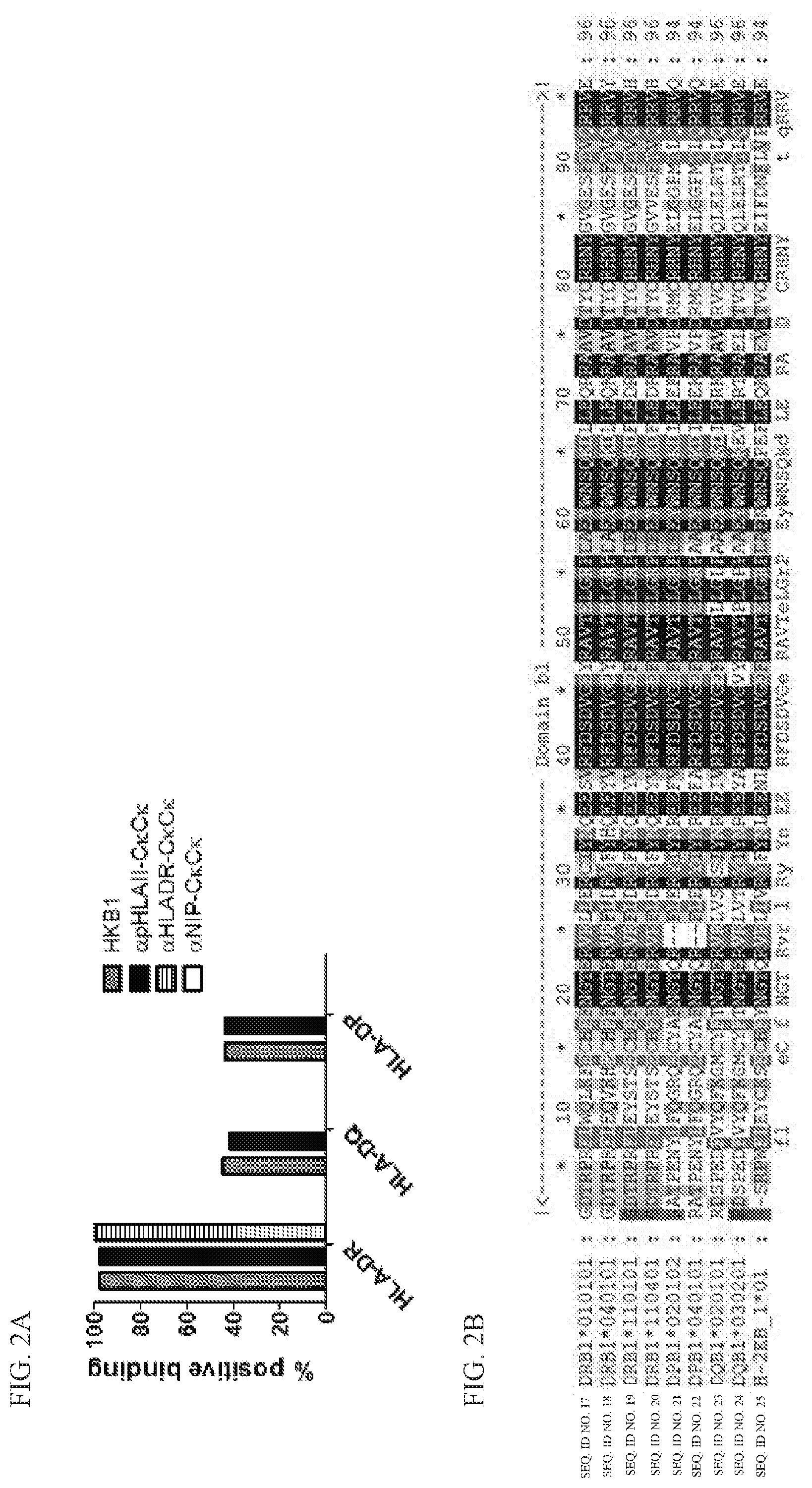 Patent US11780924 Figure 2 – HLA binding vaccine moieties and uses thereof