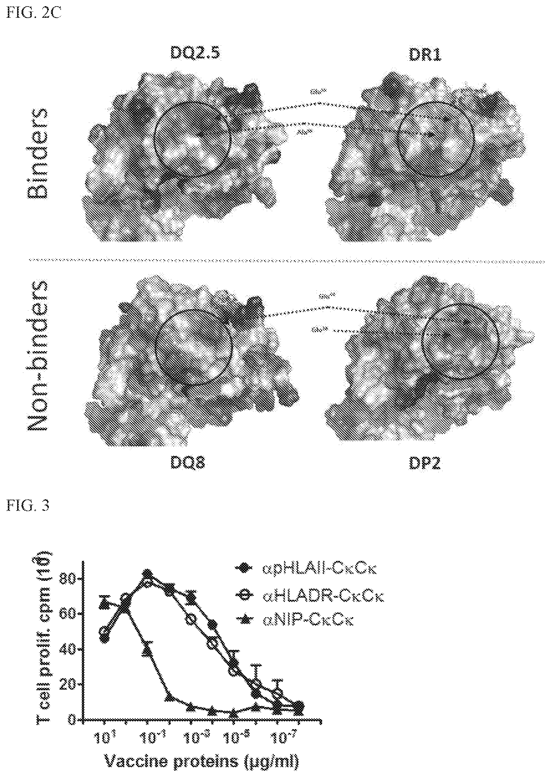 Patent US11780924 Figure 3 – HLA binding vaccine moieties and uses thereof