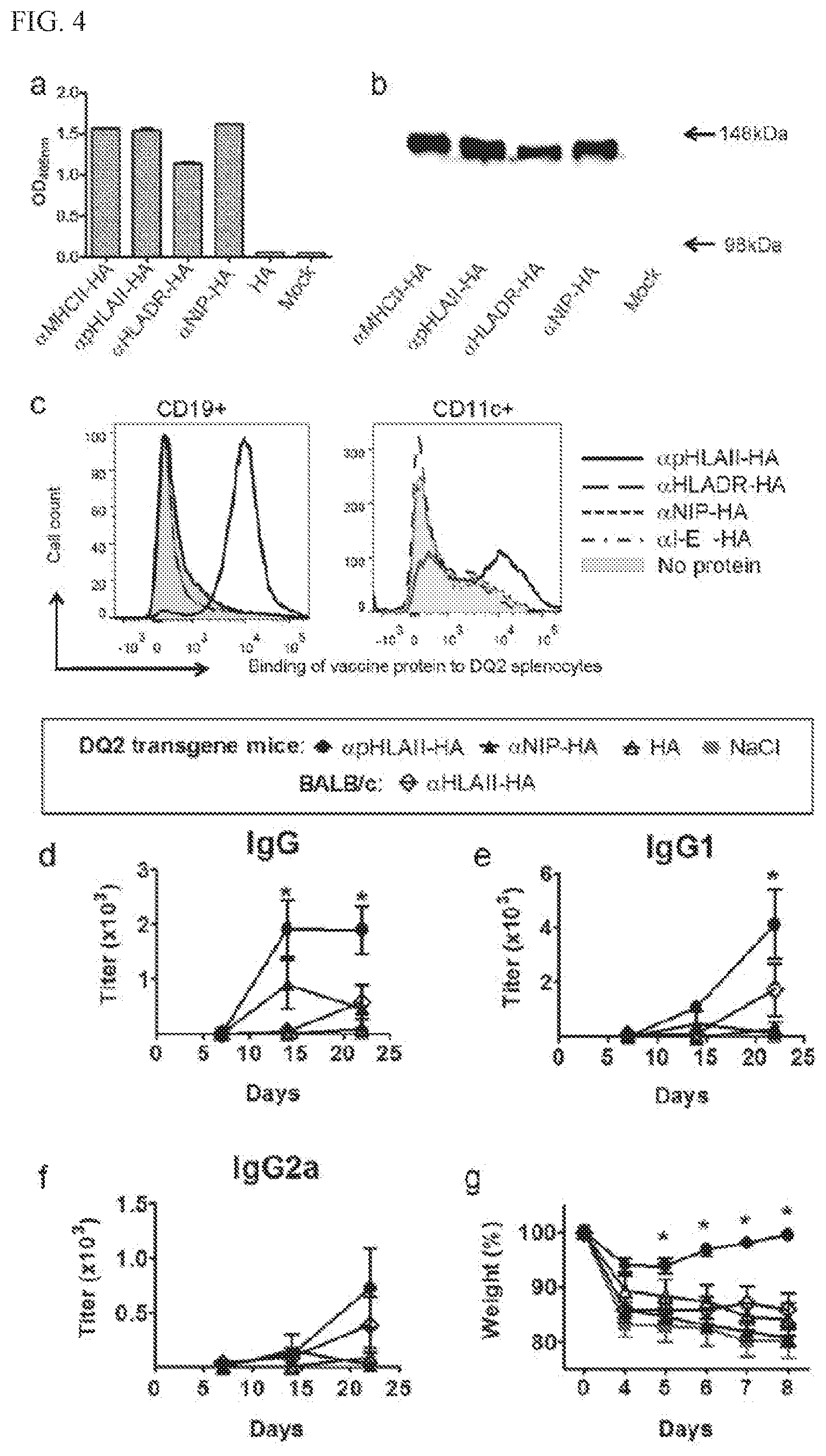 Patent US11780924 Figure 4 – HLA binding vaccine moieties and uses thereof