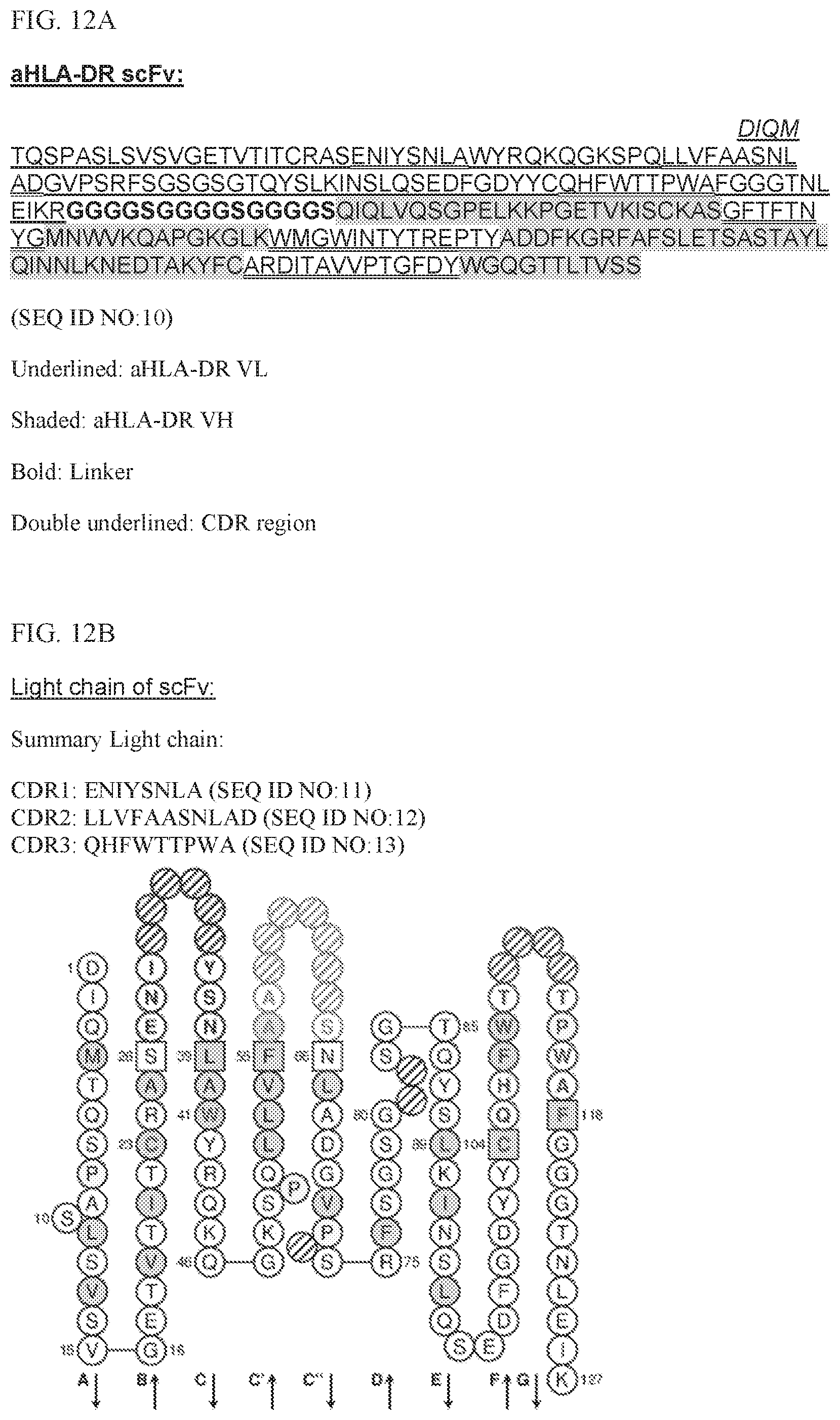 Patent US11780924 Figure 14 – HLA binding vaccine moieties and uses thereof