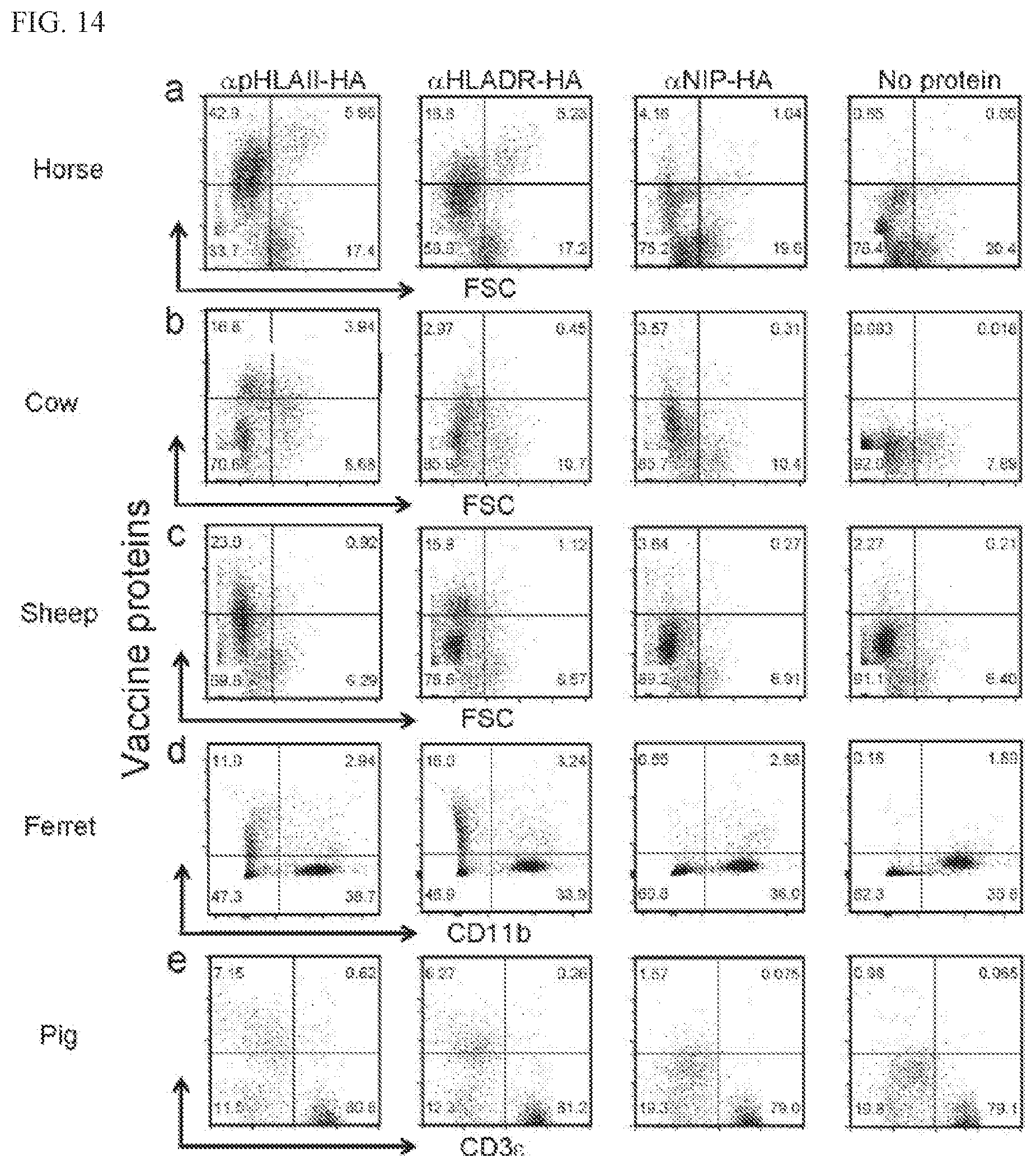 Patent US11780924 Figure 18 – HLA binding vaccine moieties and uses thereof