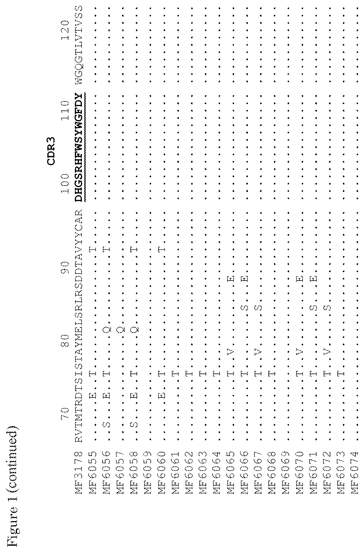 Patent US11780925 Figure 2 – ErbB-2 and ErbB3 binding bispecific antibodies for use in the treatment of cells that have an NRG1 fusion gene
