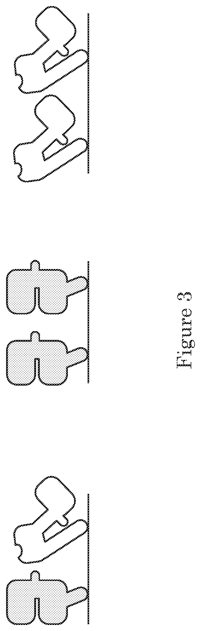 Patent US11780925 Figure 5 – ErbB-2 and ErbB3 binding bispecific antibodies for use in the treatment of cells that have an NRG1 fusion gene