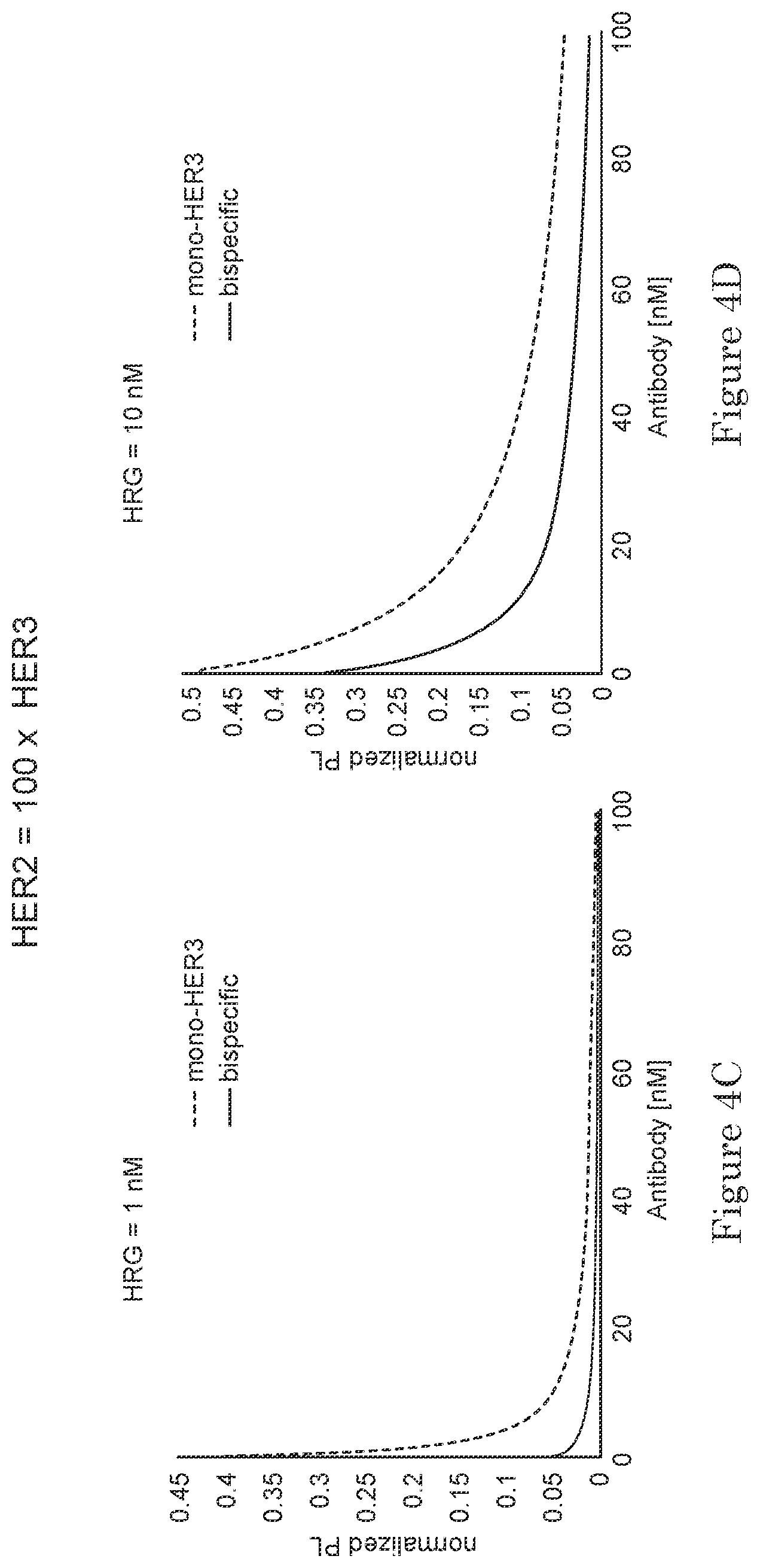 Patent US11780925 Figure 7 – ErbB-2 and ErbB3 binding bispecific antibodies for use in the treatment of cells that have an NRG1 fusion gene