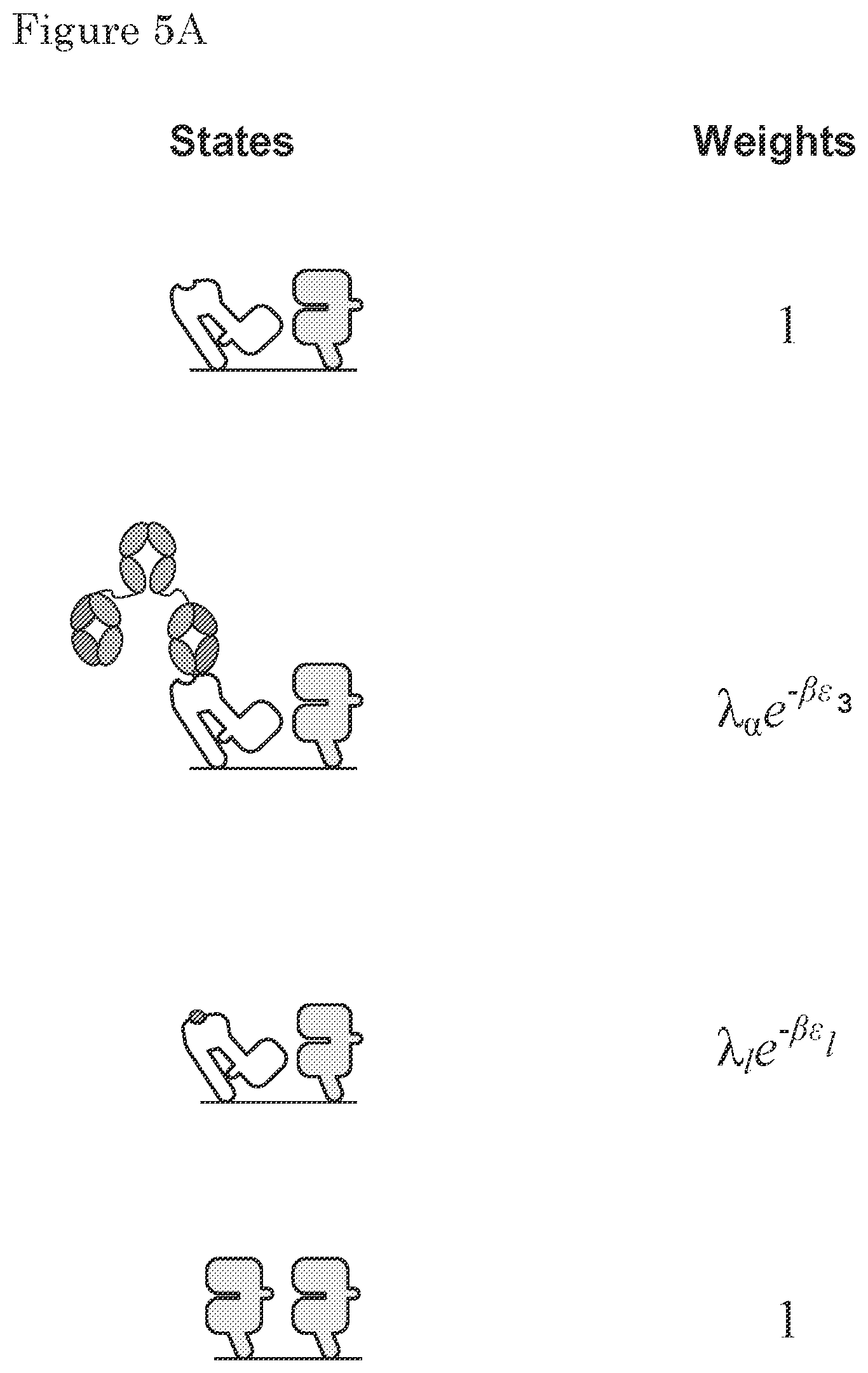 Patent US11780925 Figure 8 – ErbB-2 and ErbB3 binding bispecific antibodies for use in the treatment of cells that have an NRG1 fusion gene