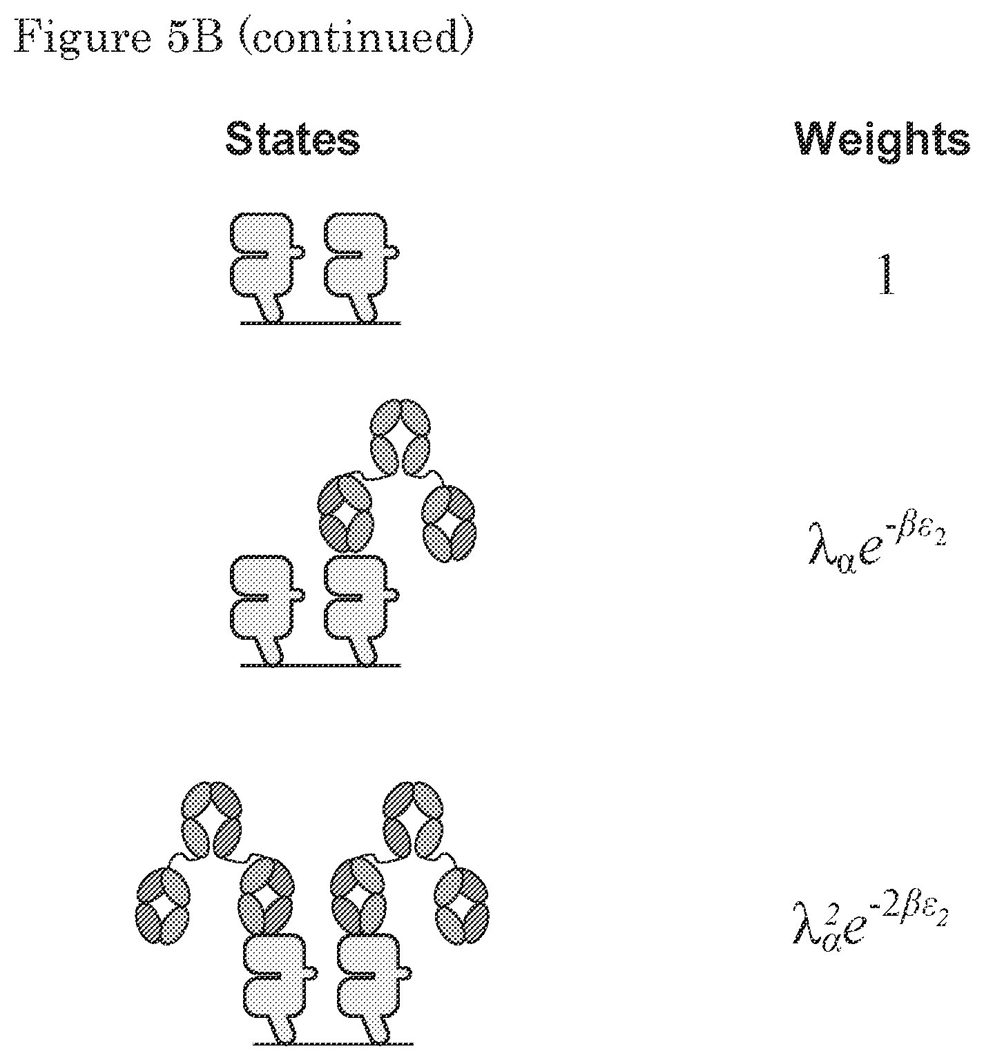 Patent US11780925 Figure 11 – ErbB-2 and ErbB3 binding bispecific antibodies for use in the treatment of cells that have an NRG1 fusion gene