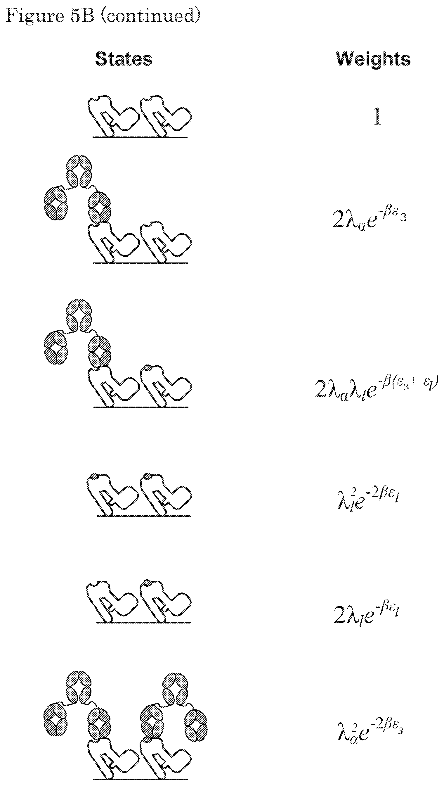 Patent US11780925 Figure 12 – ErbB-2 and ErbB3 binding bispecific antibodies for use in the treatment of cells that have an NRG1 fusion gene