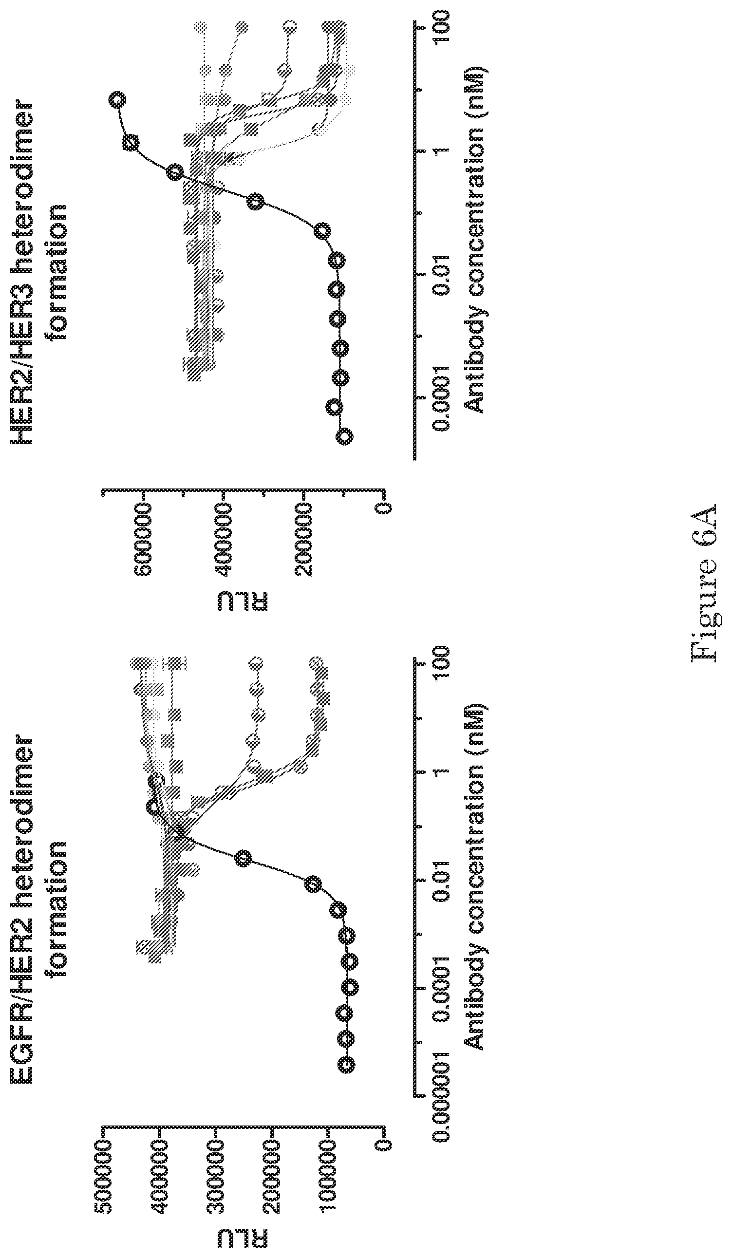 Patent US11780925 Figure 13 – ErbB-2 and ErbB3 binding bispecific antibodies for use in the treatment of cells that have an NRG1 fusion gene