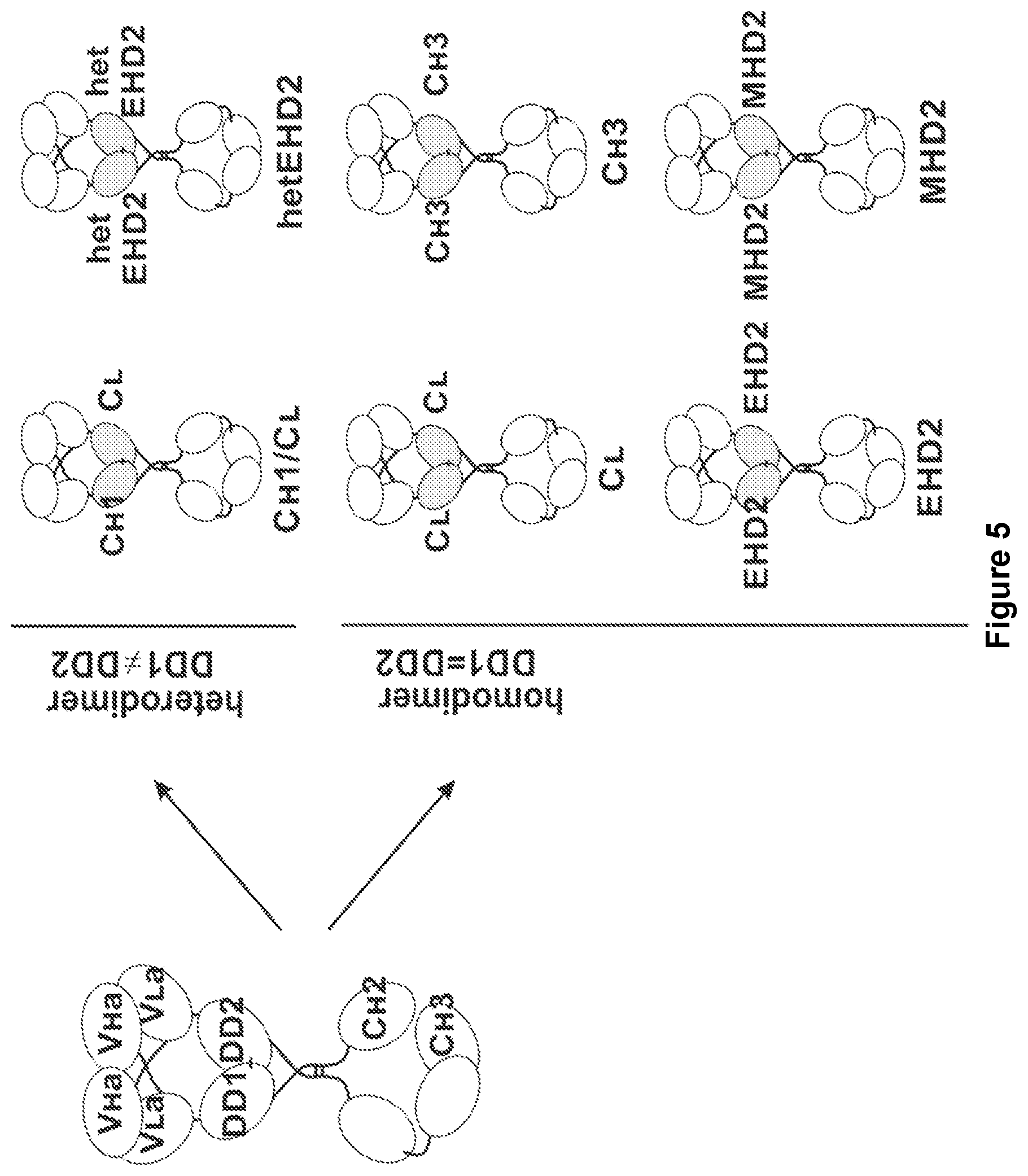 Patent US11780926 Figure 5 – Multivalent binding molecules