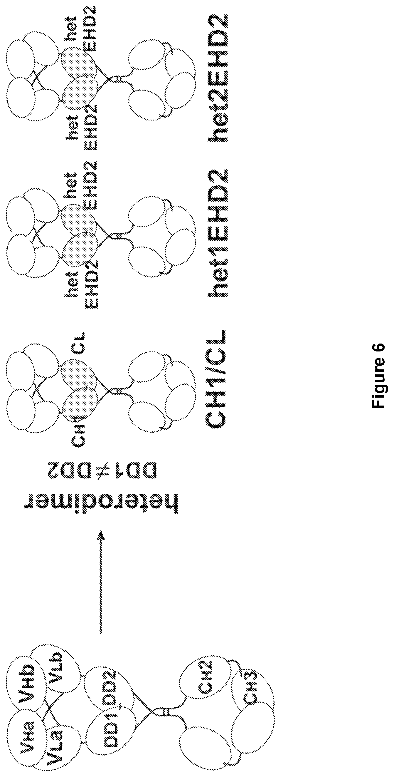 Patent US11780926 Figure 6 – Multivalent binding molecules