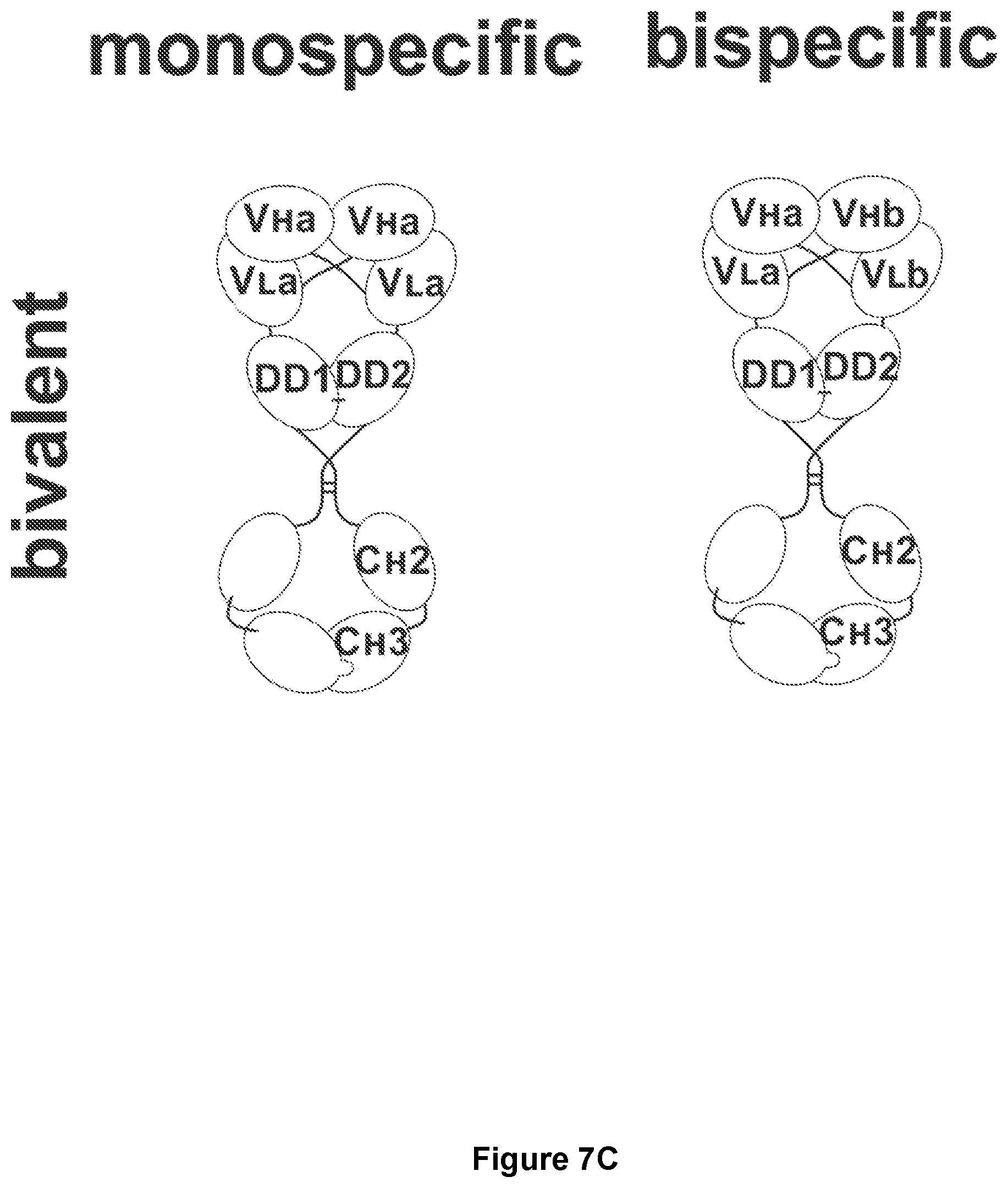 Patent US11780926 Figure 9 – Multivalent binding molecules