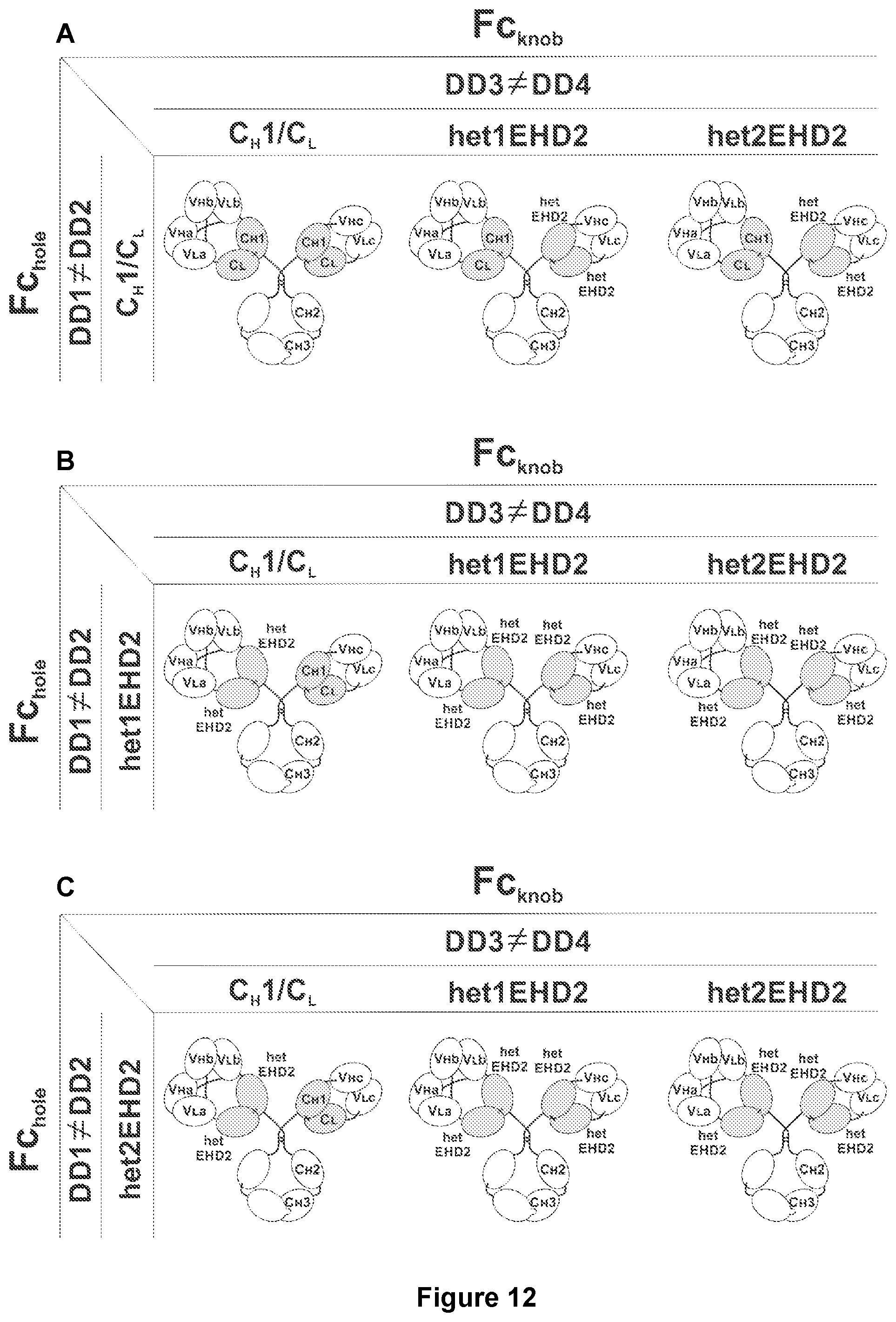 Patent US11780926 Figure 15 – Multivalent binding molecules