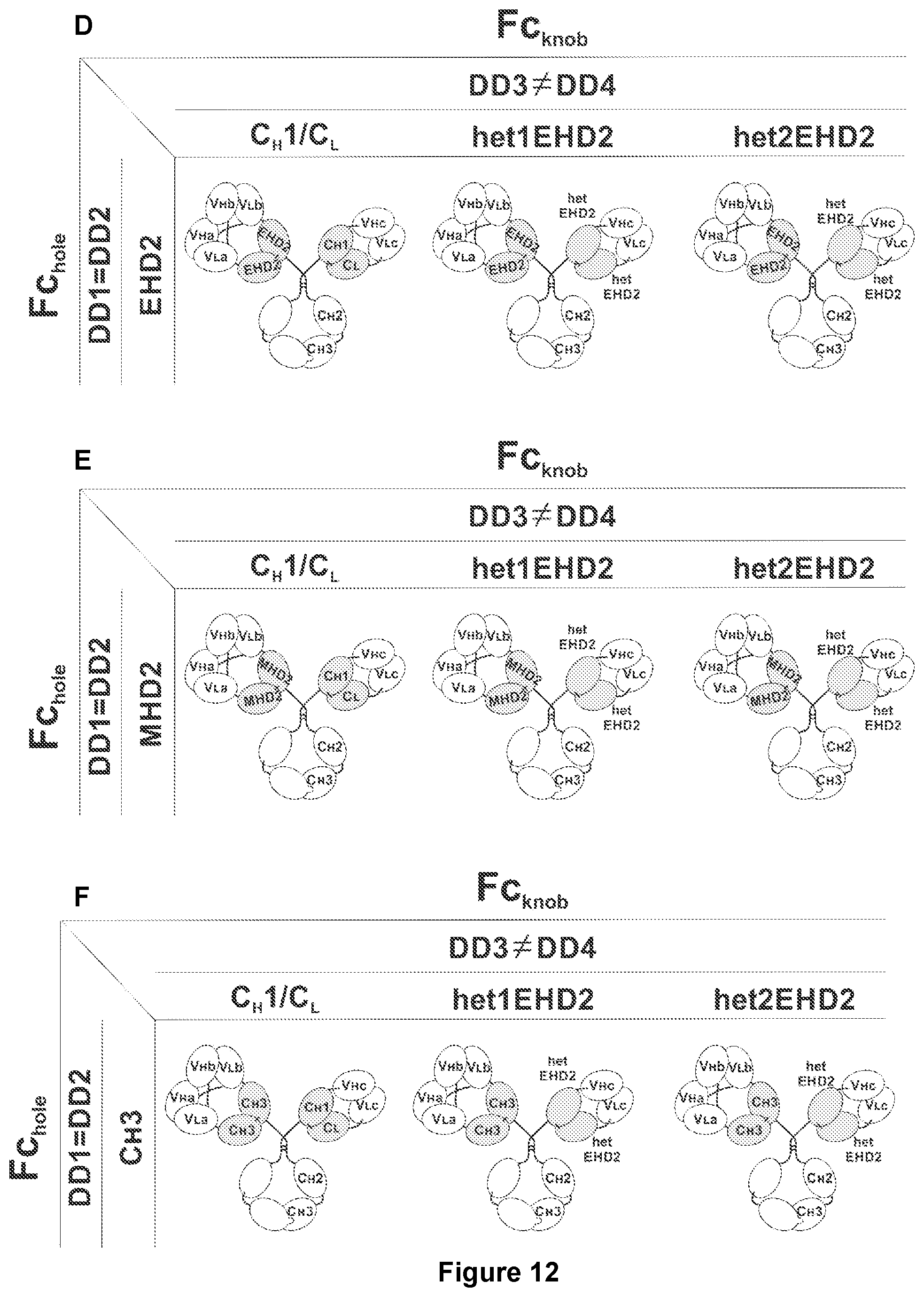 Patent US11780926 Figure 16 – Multivalent binding molecules