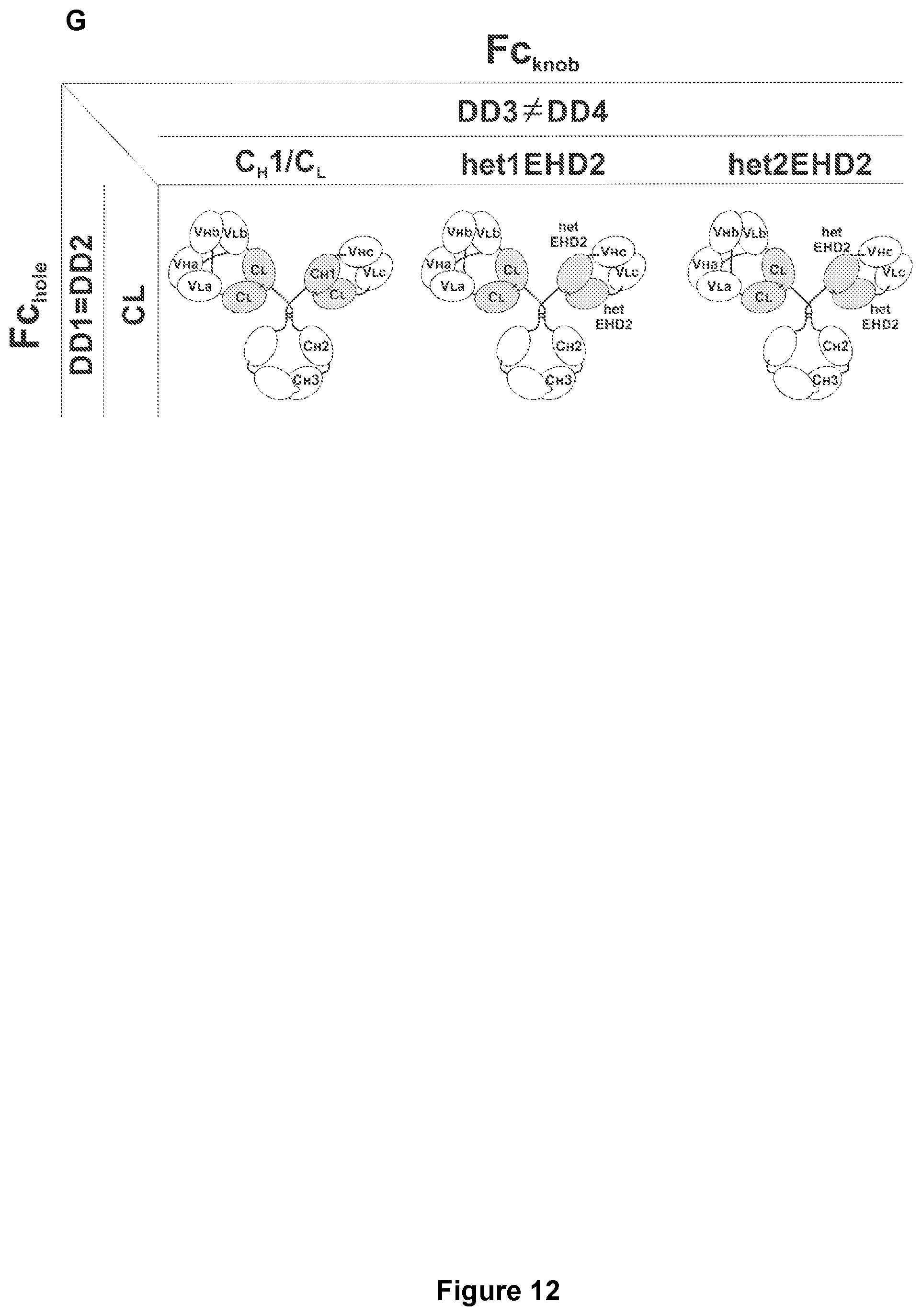 Patent US11780926 Figure 17 – Multivalent binding molecules