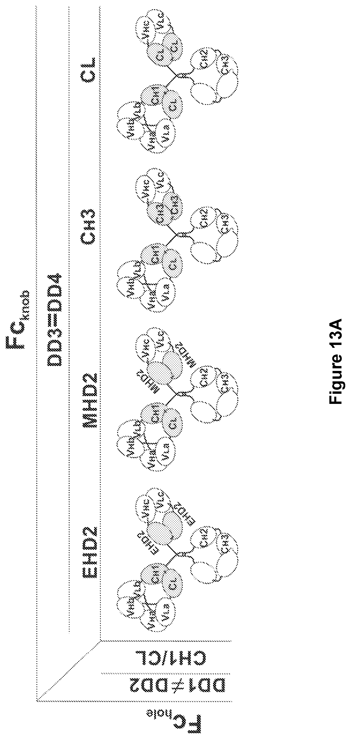Patent US11780926 Figure 18 – Multivalent binding molecules