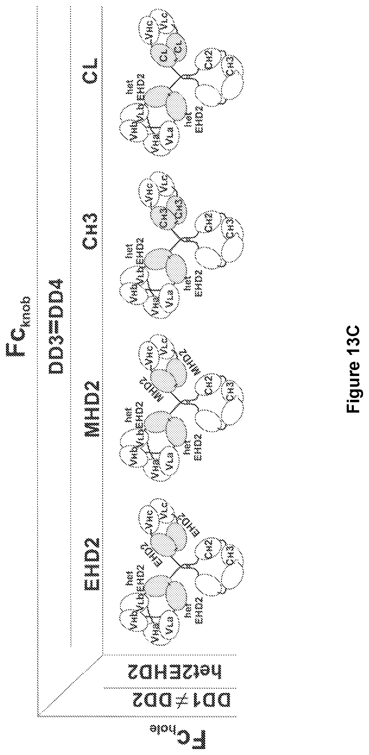 Patent US11780926 Figure 20 – Multivalent binding molecules