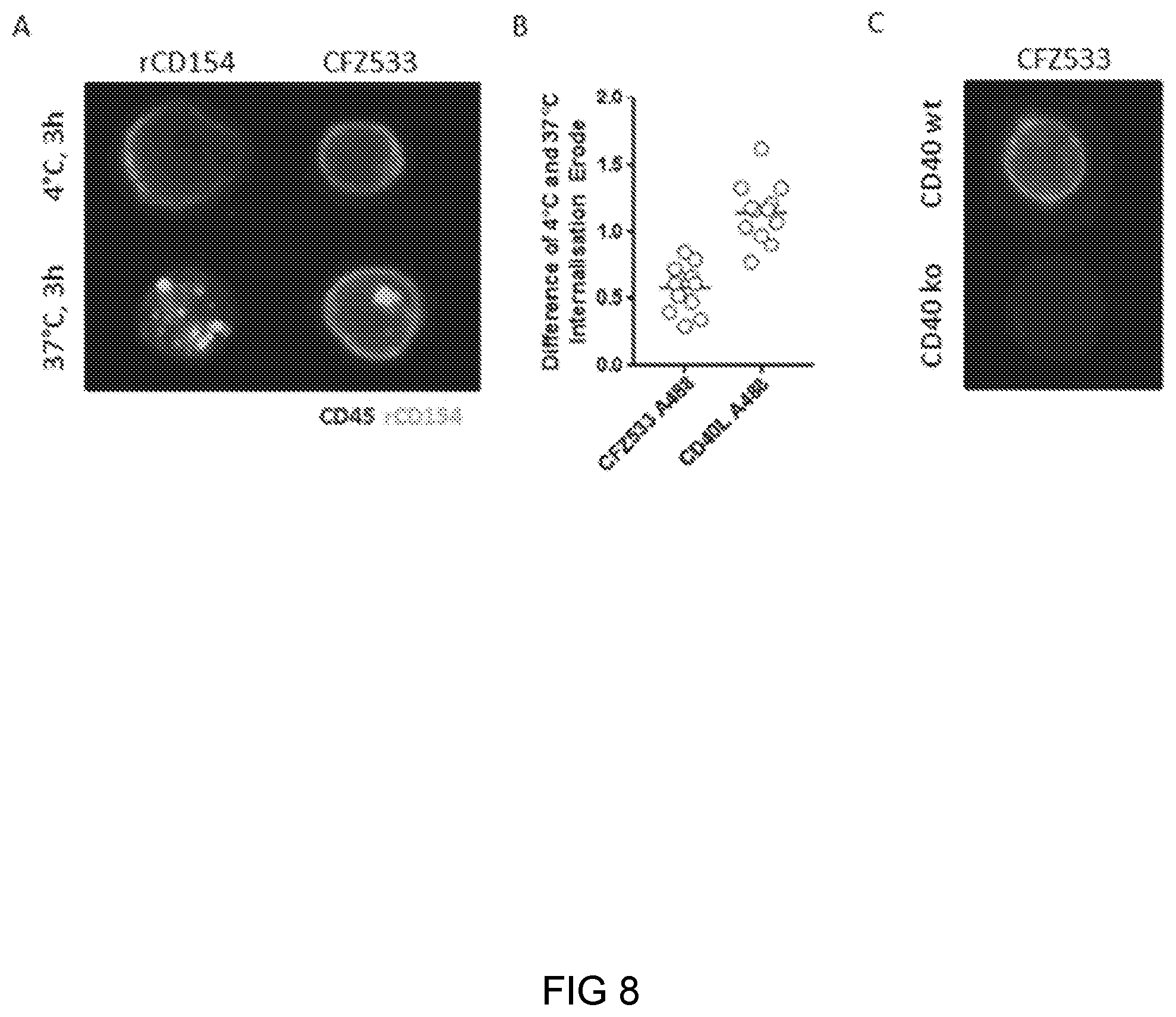 Patent US11780927 Figure 8 – Anti-CD40 antibodies for use in prevention of graft rejection