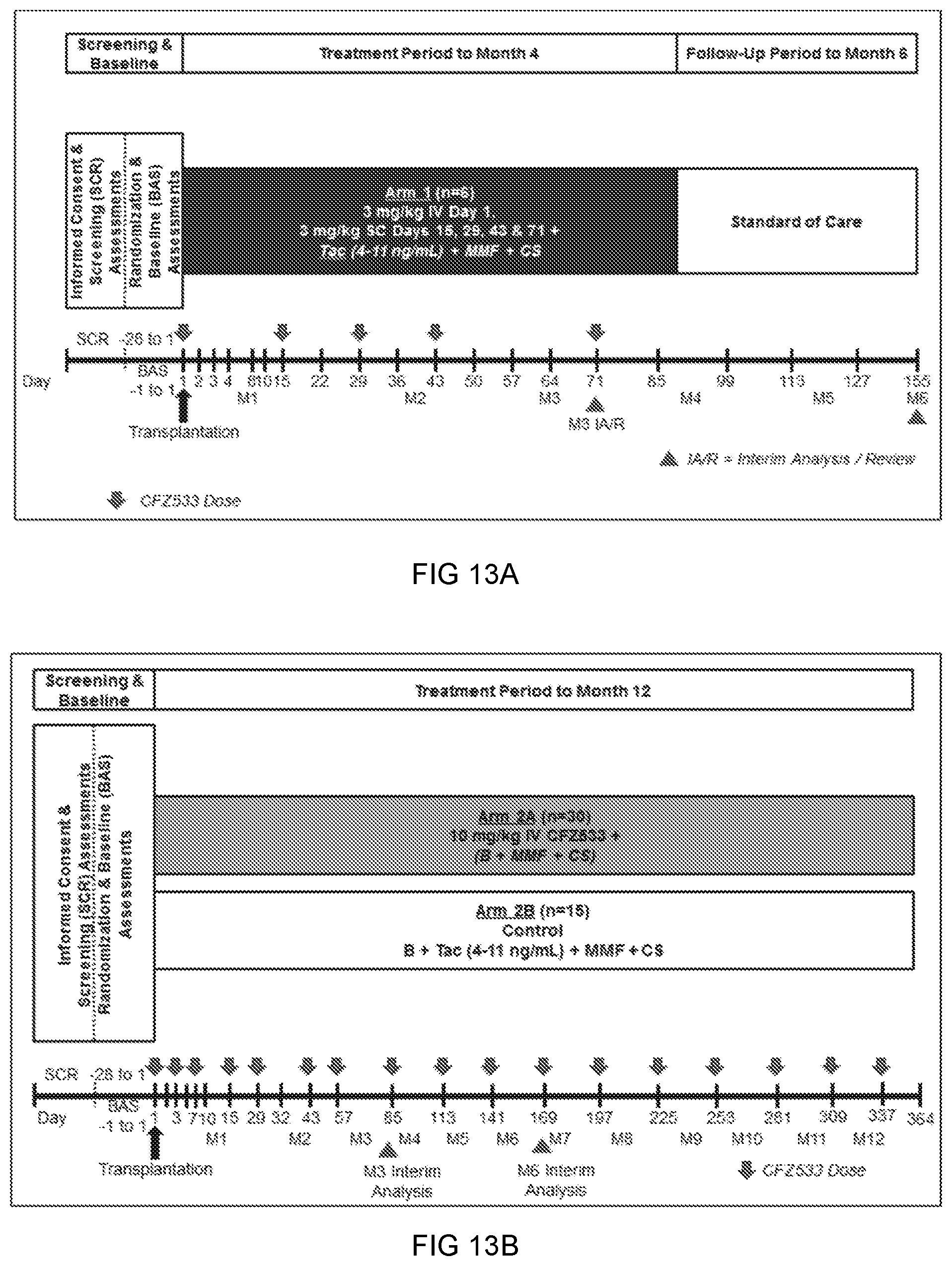 Patent US11780927 Figure 13 – Anti-CD40 antibodies for use in prevention of graft rejection