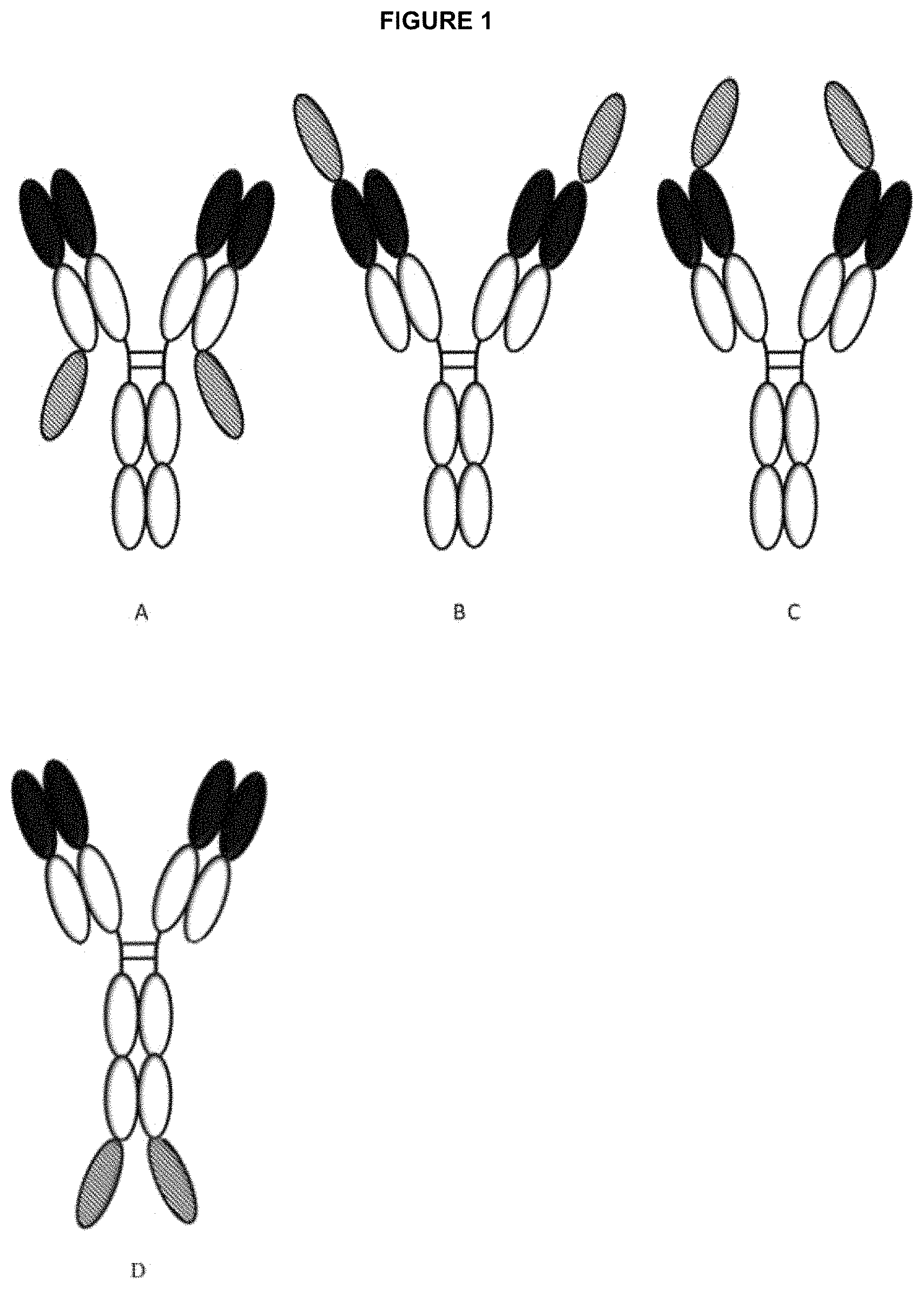 Patent US11780928 — Polypeptides — Figure 1