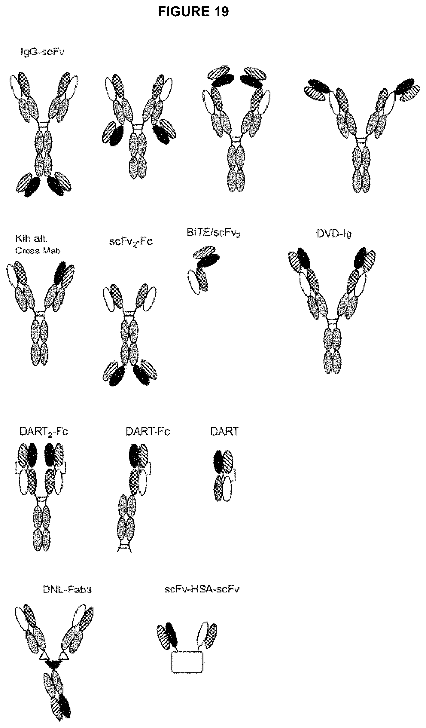 Patent US11780928 Figure 20 – Polypeptides