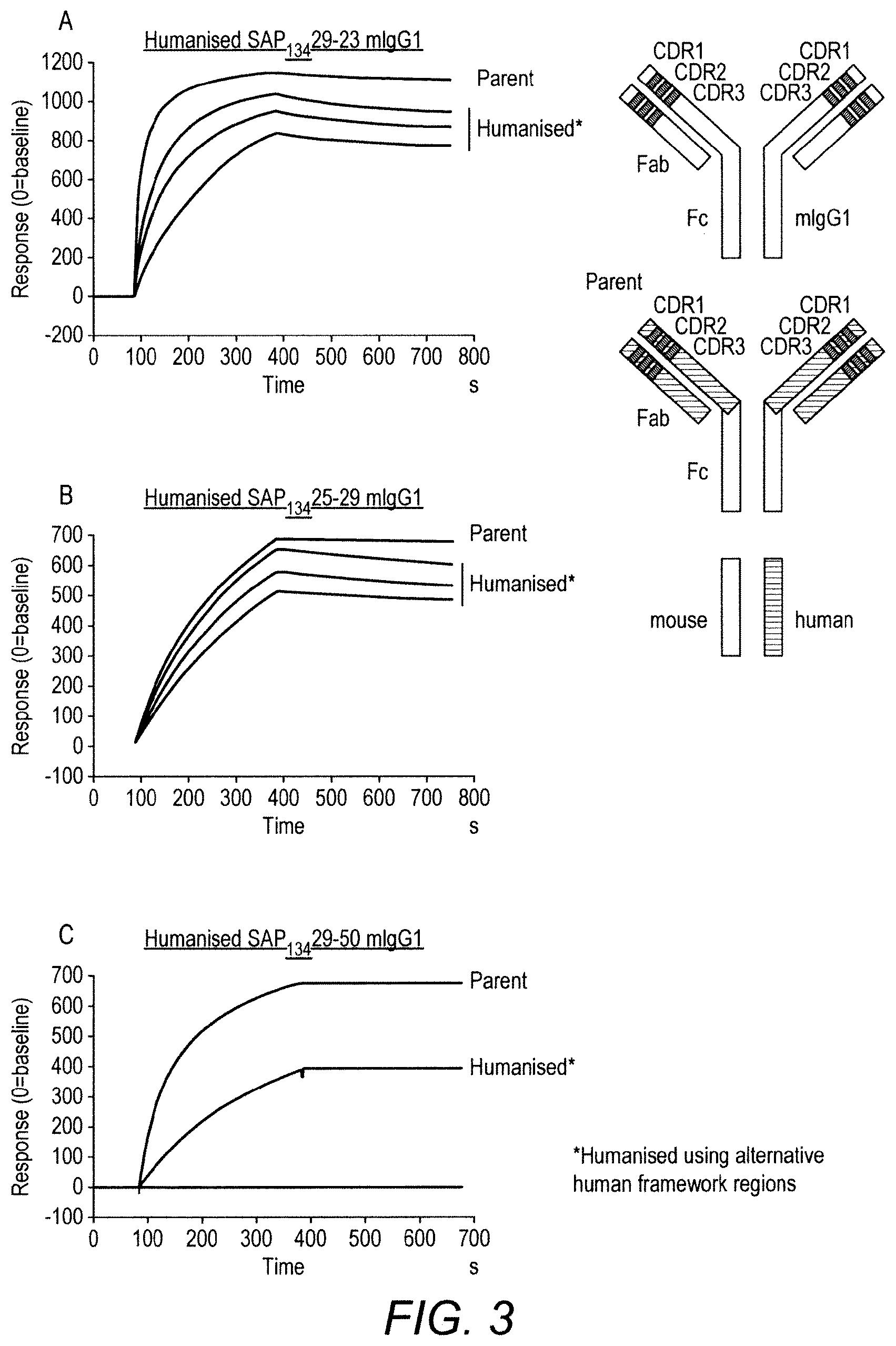 Patent US11780929 Figure 3 – Immunomodulatory antibodies