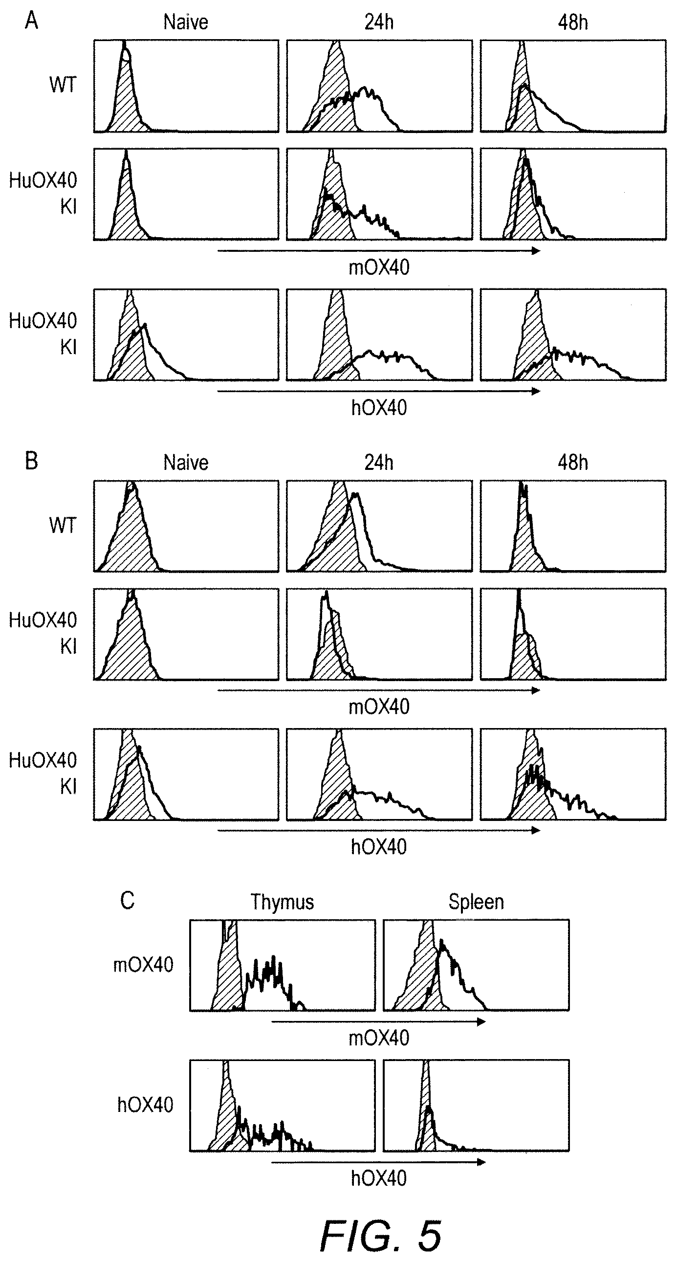 Patent US11780929 Figure 5 – Immunomodulatory antibodies