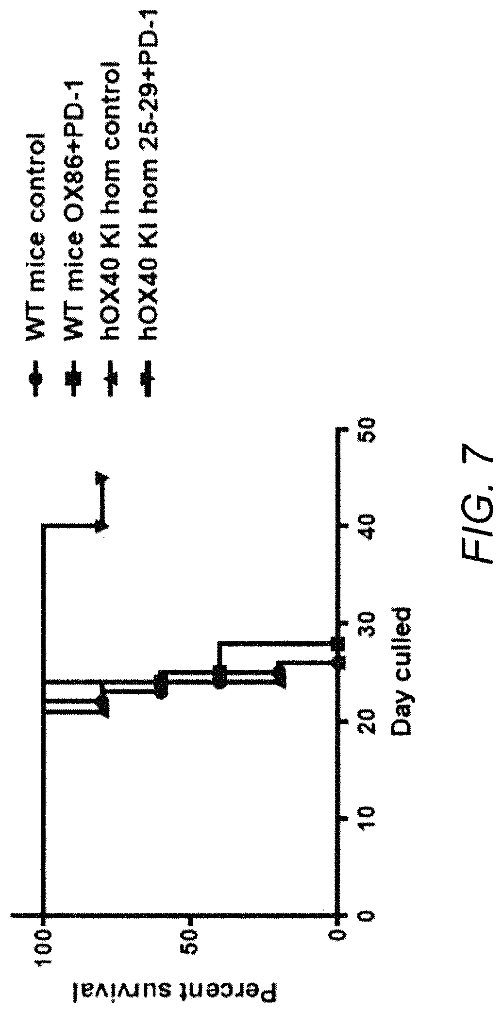 Patent US11780929 Figure 8 – Immunomodulatory antibodies