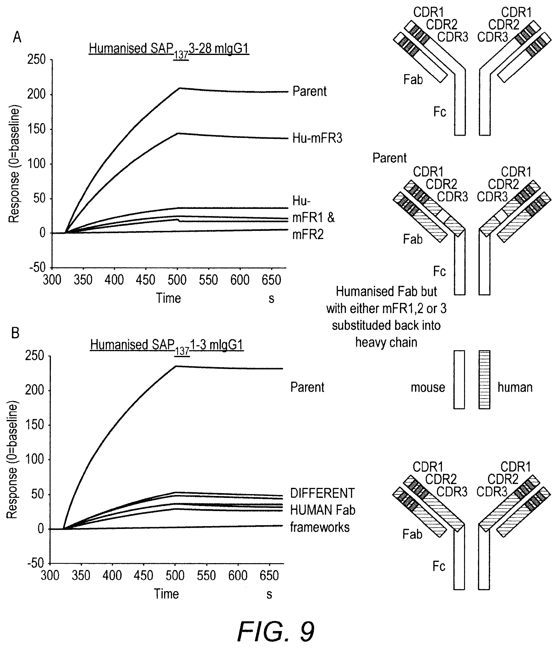 Patent US11780929 Figure 10 – Immunomodulatory antibodies