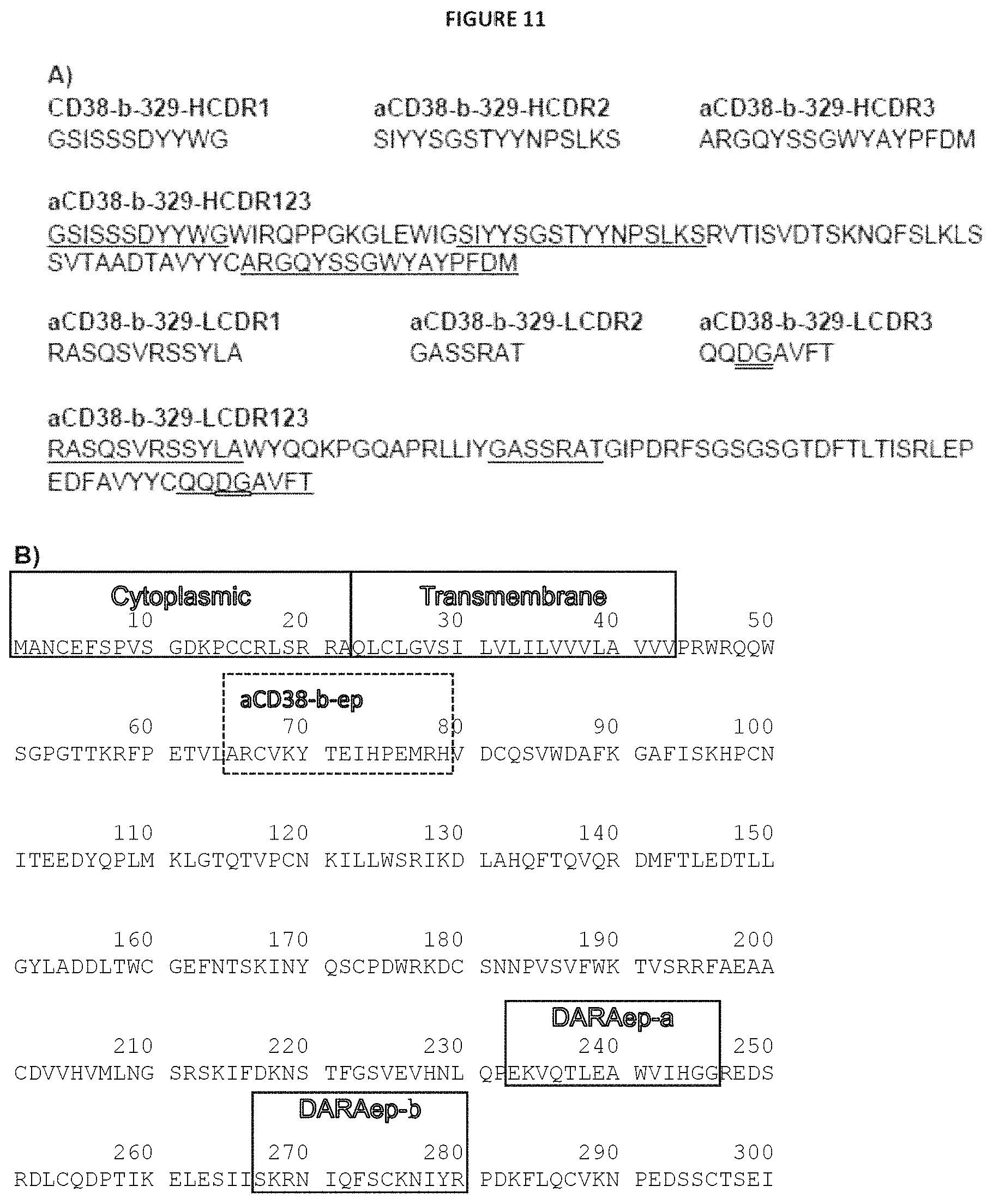 Patent US11780930 Figure 12 – CD38 modulating antibody