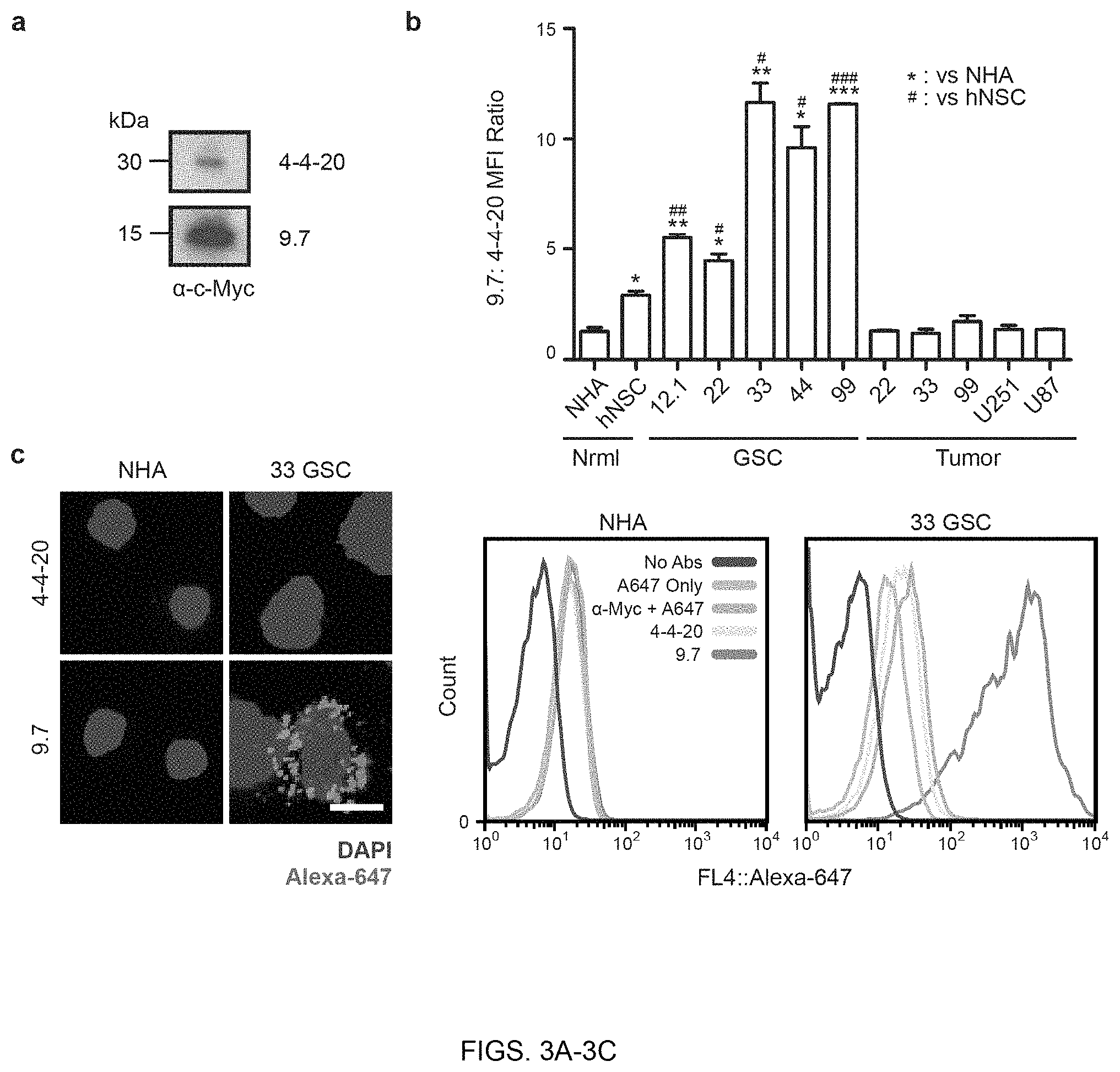 Patent US11780932 Figure 3 – Antibodies targeting glioblastoma stem-like cells and methods of use thereof
