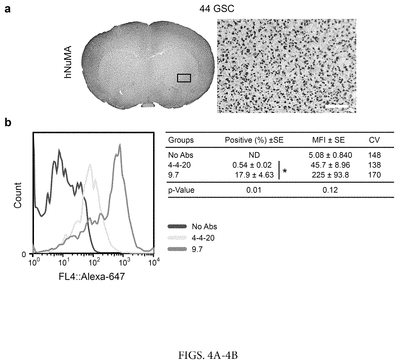 Patent US11780932 Figure 4 – Antibodies targeting glioblastoma stem-like cells and methods of use thereof