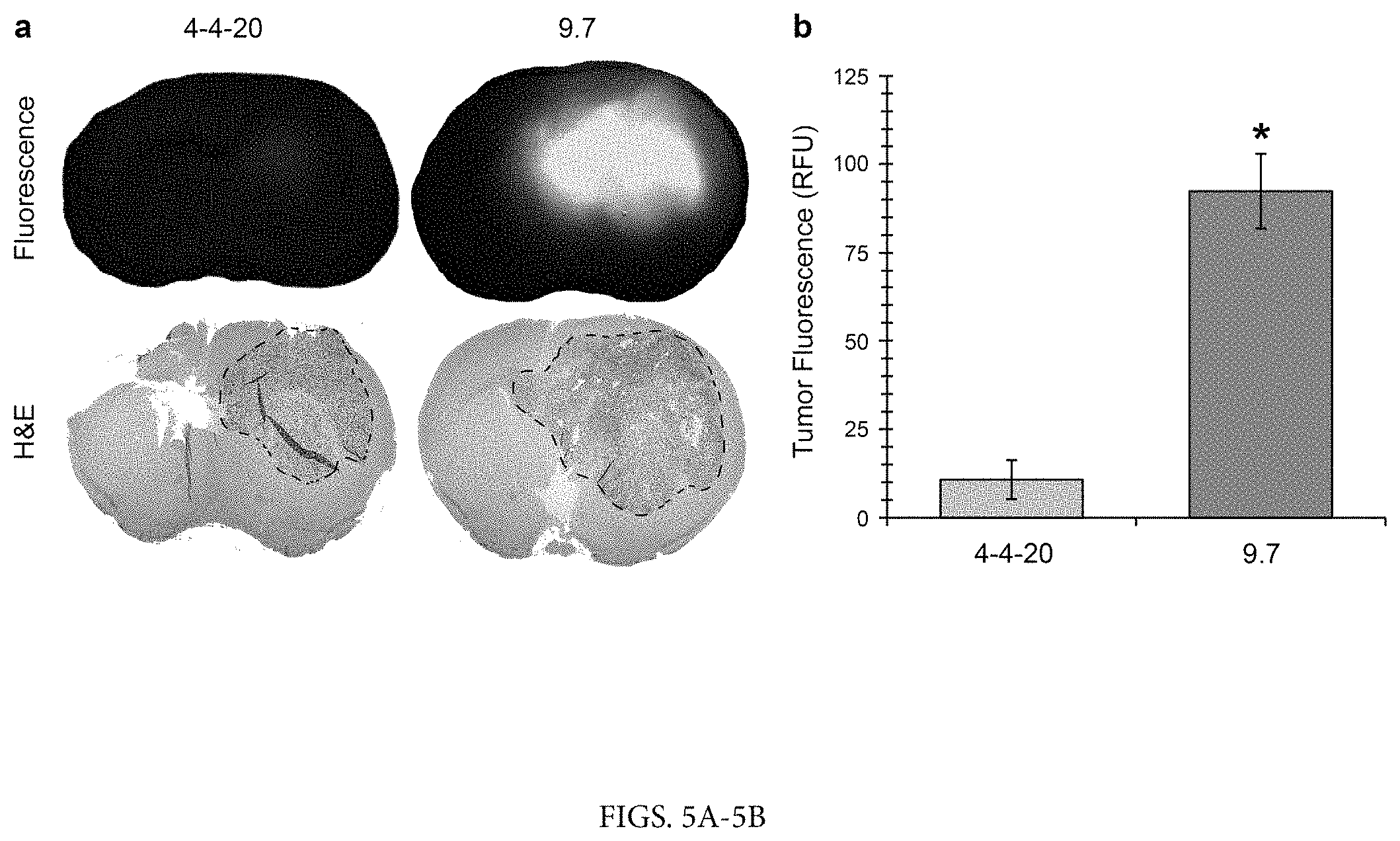Patent US11780932 Figure 5 – Antibodies targeting glioblastoma stem-like cells and methods of use thereof