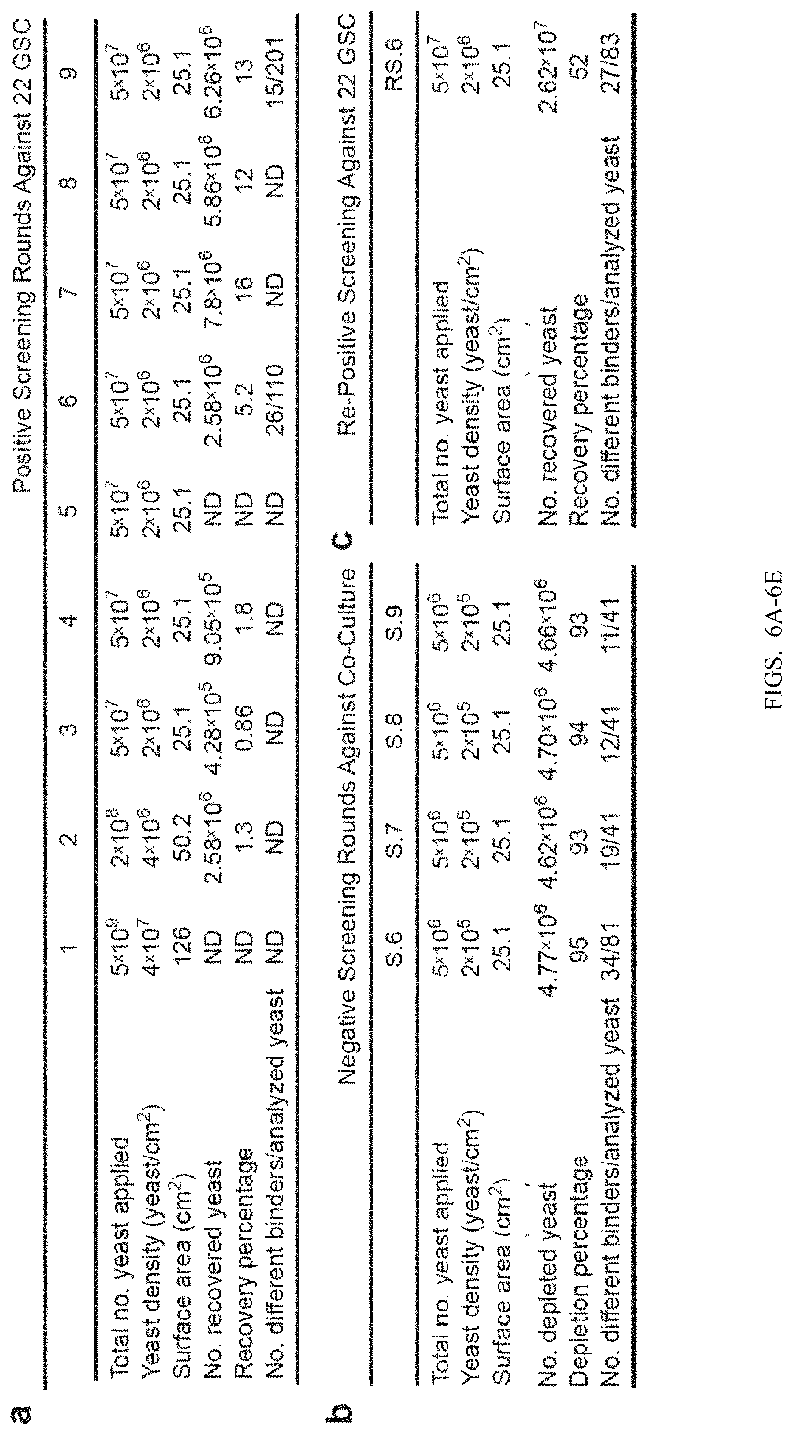 Patent US11780932 Figure 6 – Antibodies targeting glioblastoma stem-like cells and methods of use thereof