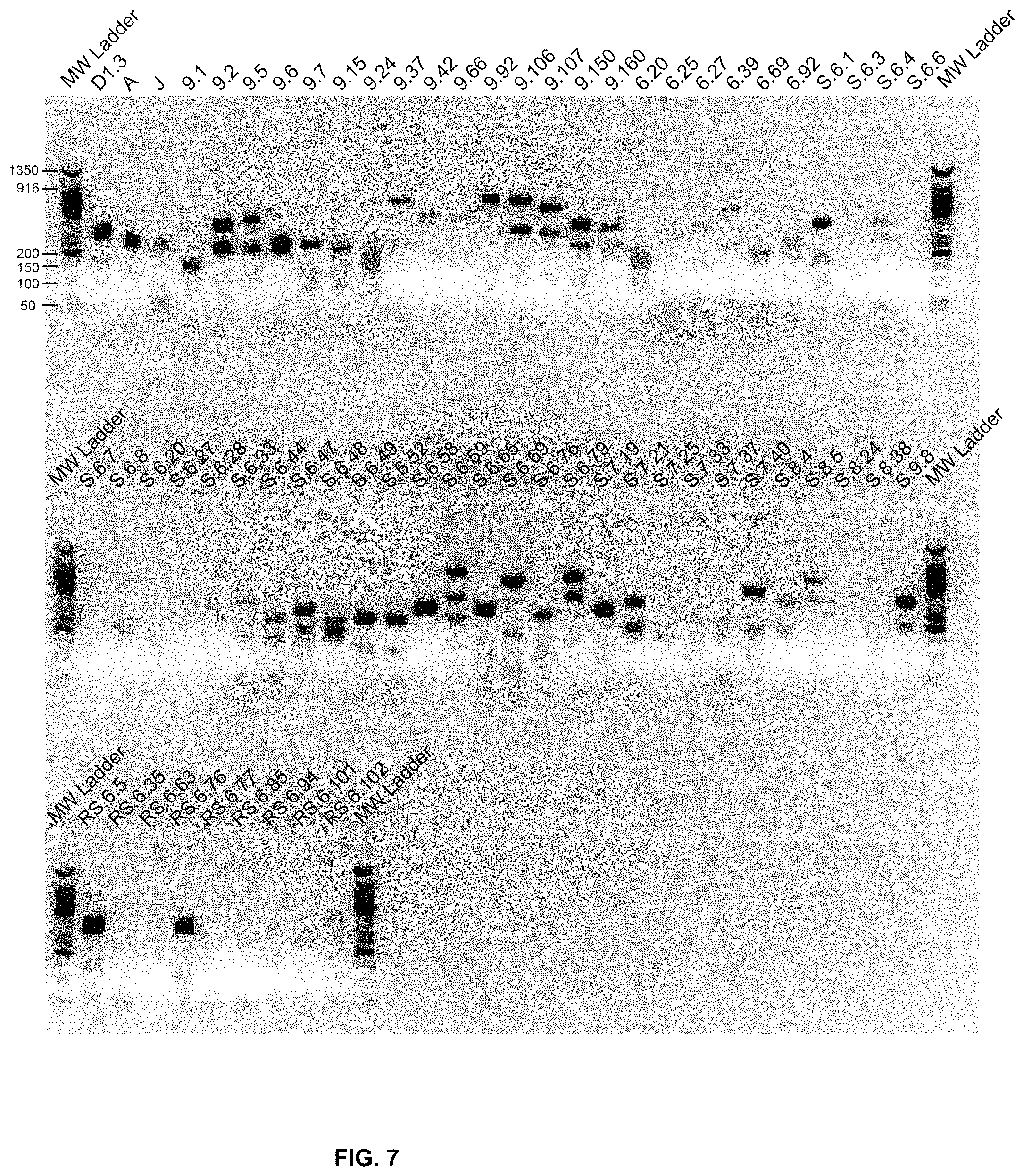 Patent US11780932 Figure 9 – Antibodies targeting glioblastoma stem-like cells and methods of use thereof