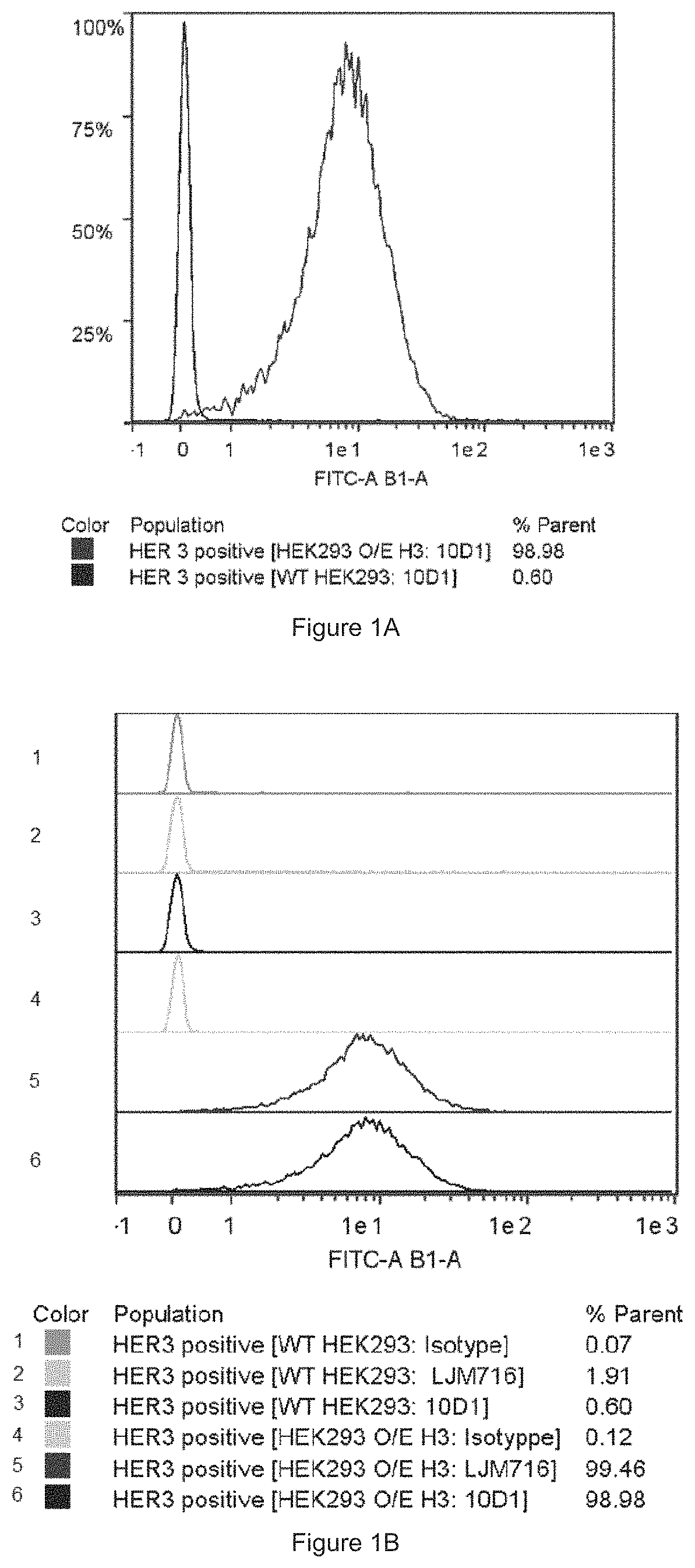 Patent US11780933 — HER3 antigen-binding molecules — Figure 1