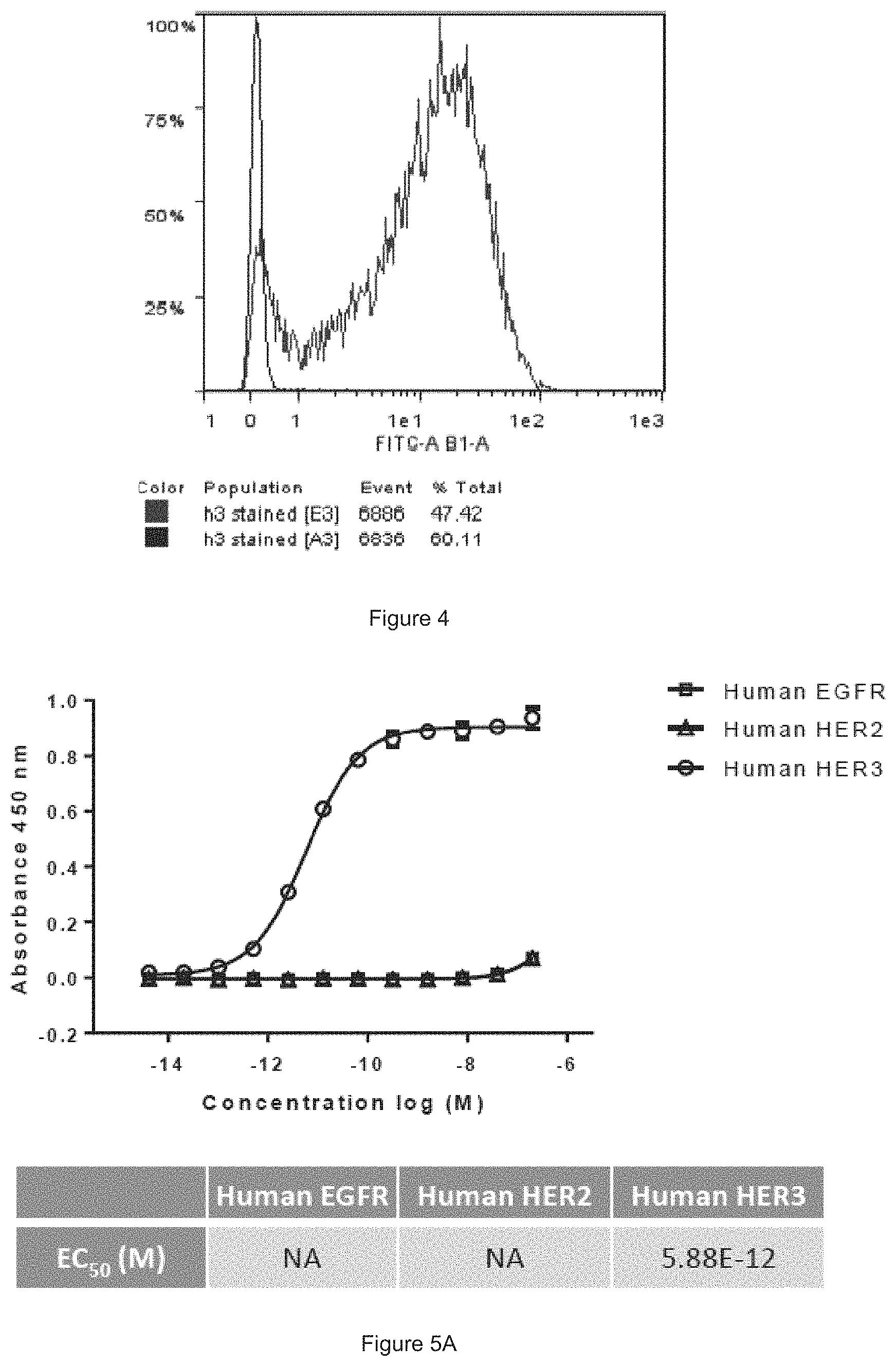 Patent US11780933 Figure 4 – HER3 antigen-binding molecules