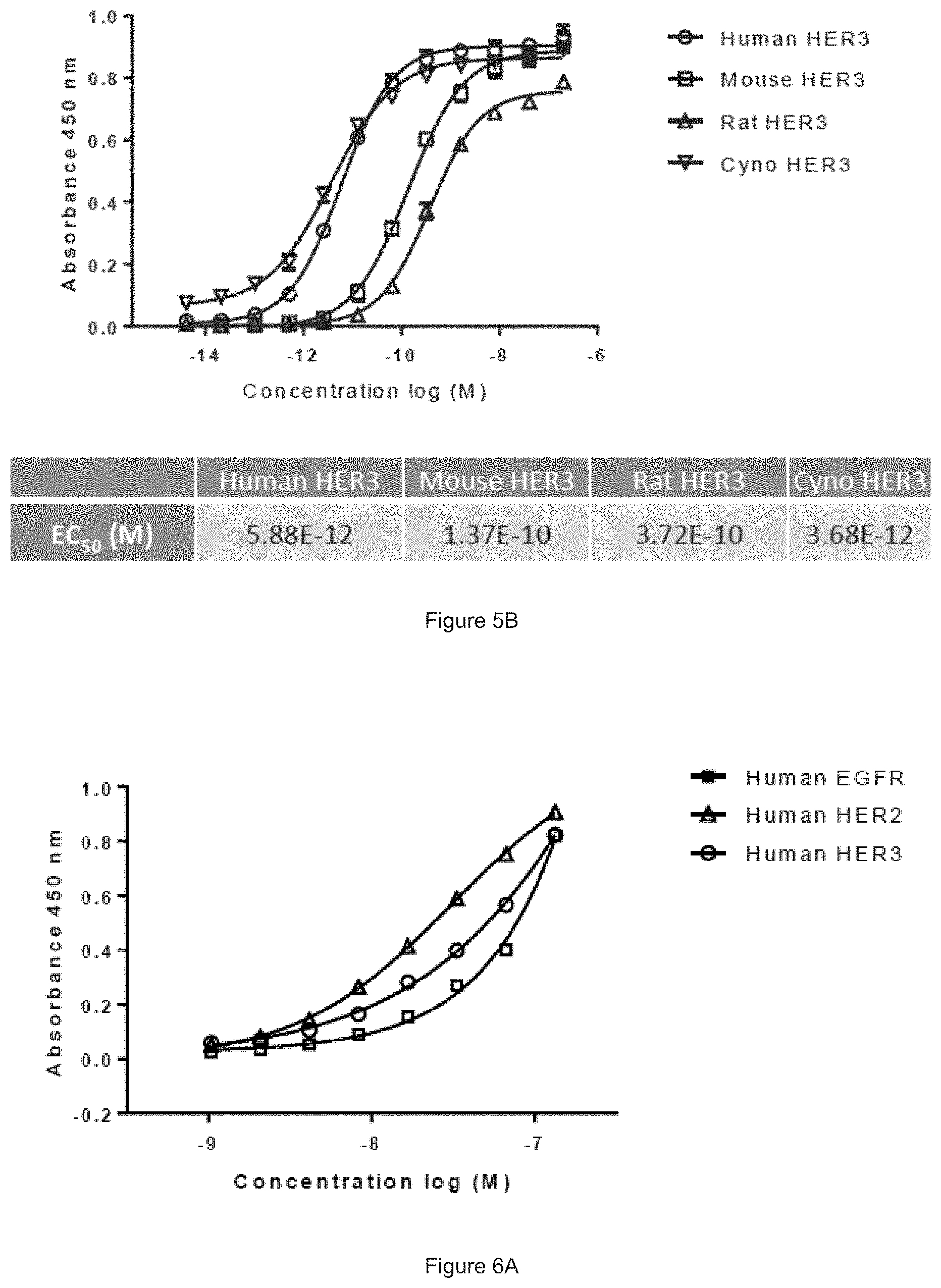 Patent US11780933 Figure 5 – HER3 antigen-binding molecules