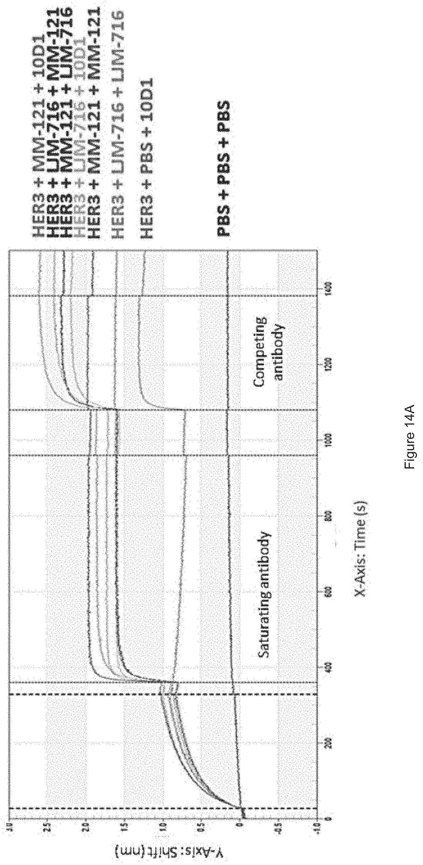 Patent US11780933 Figure 12 – HER3 antigen-binding molecules