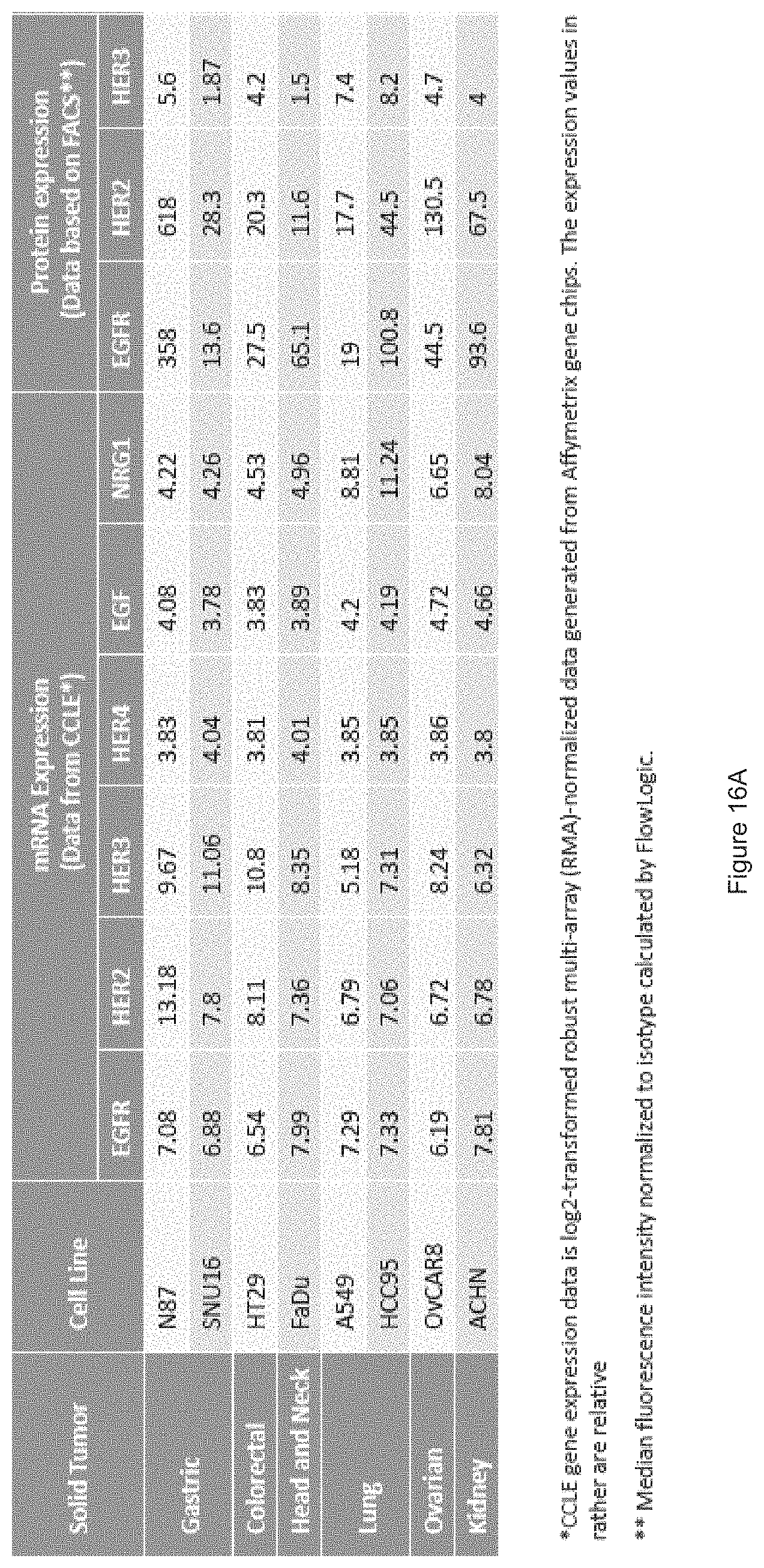 Patent US11780933 Figure 14 – HER3 antigen-binding molecules