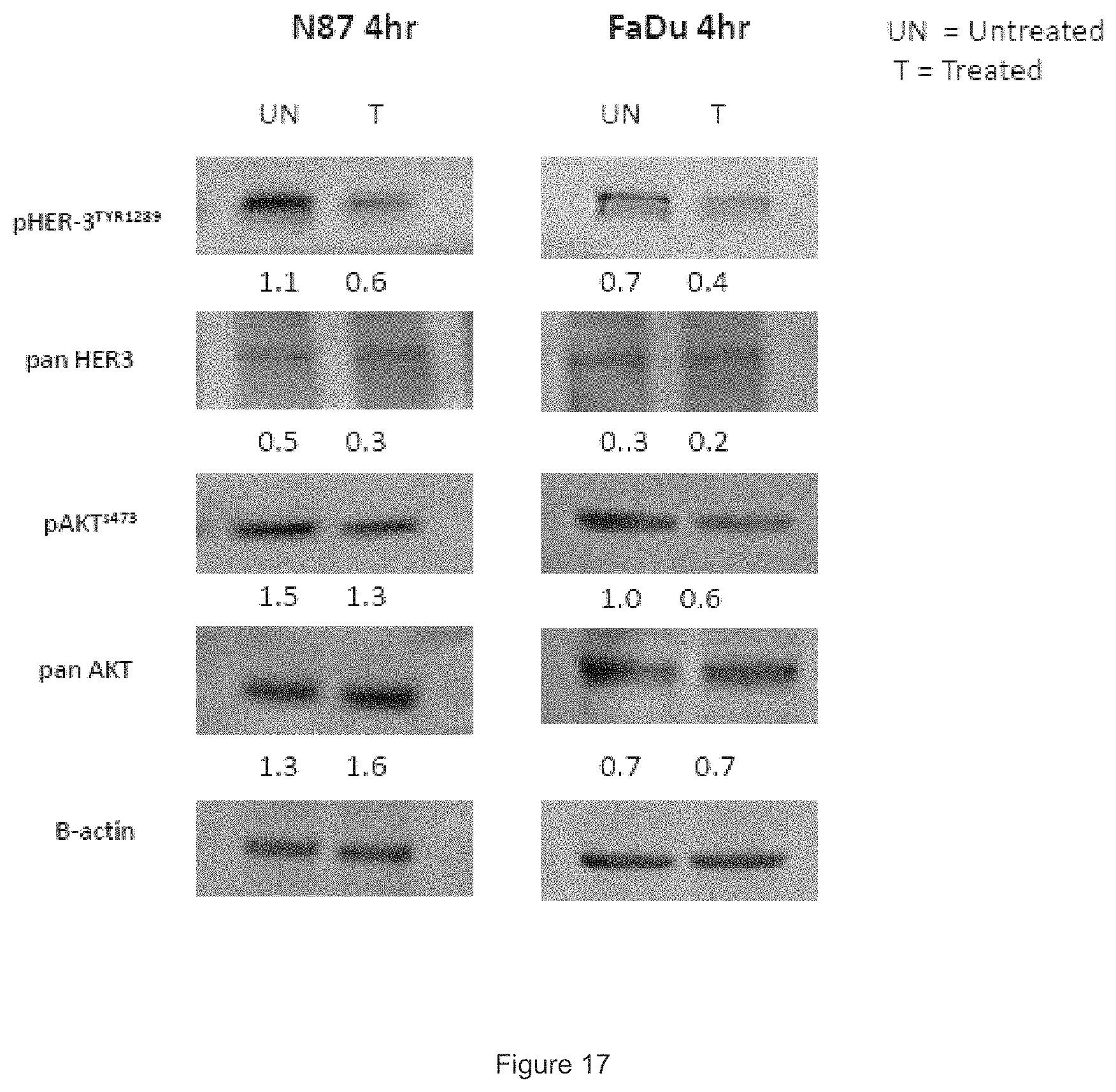 Patent US11780933 Figure 16 – HER3 antigen-binding molecules