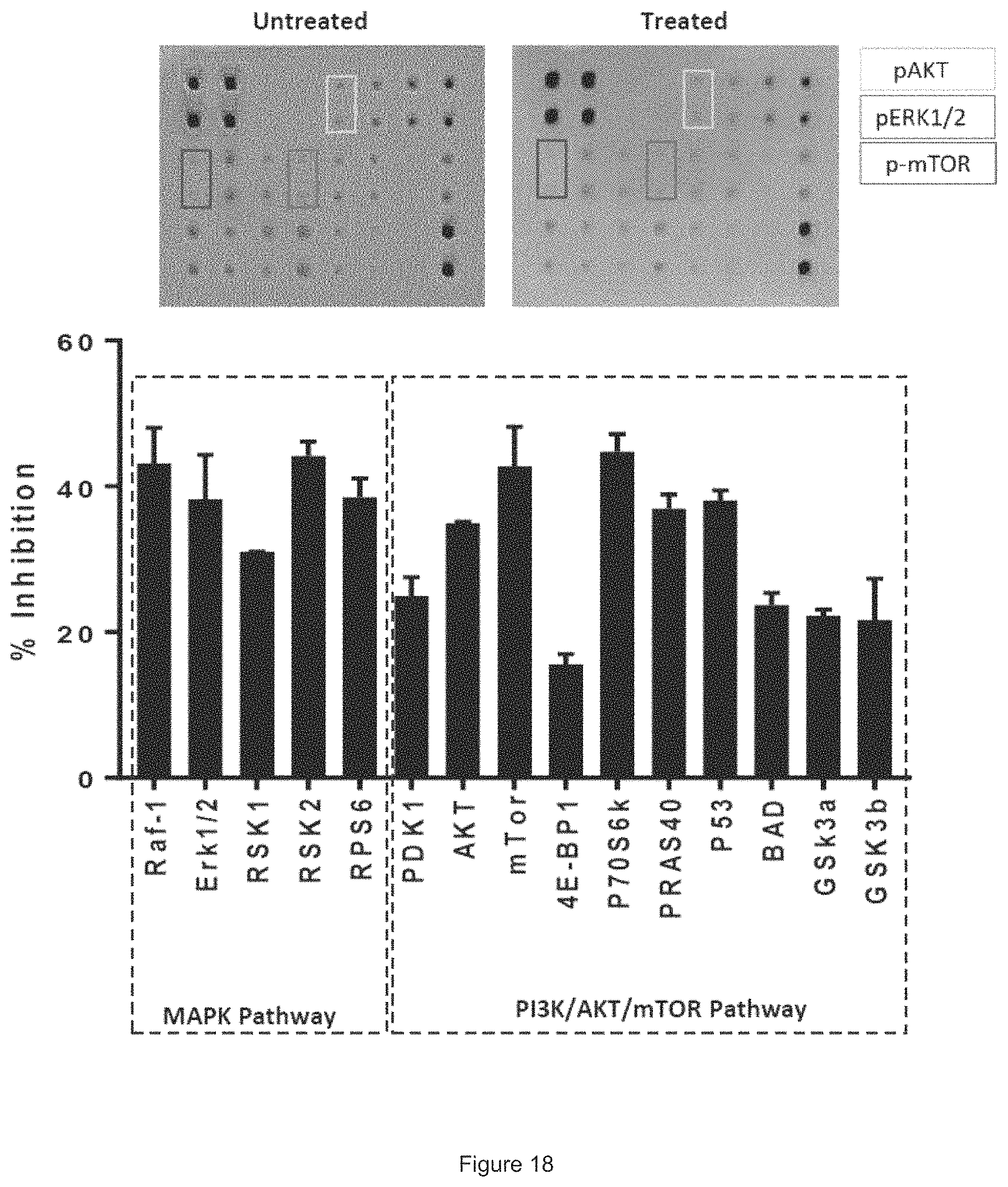 Patent US11780933 Figure 17 – HER3 antigen-binding molecules