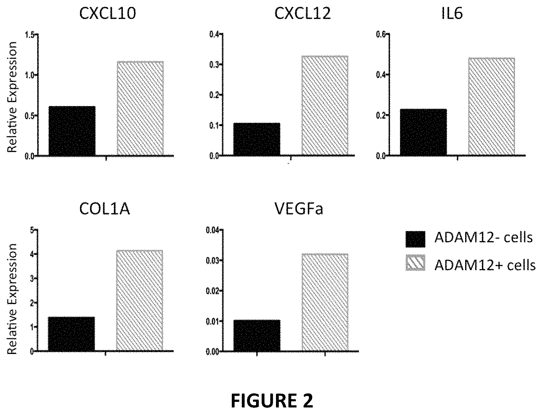 Patent US11780934 Figure 2 – Use of inhibitors of ADAM12 as adjuvants in tumor therapies