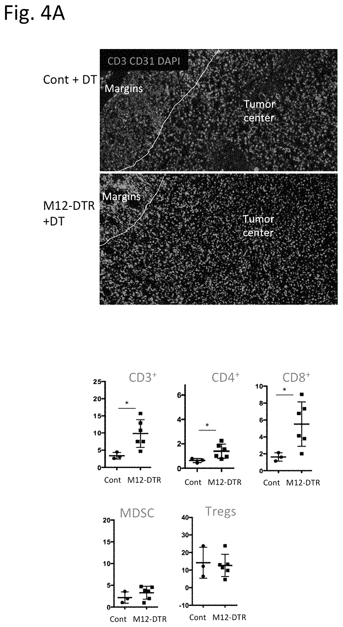 Patent US11780934 Figure 5 – Use of inhibitors of ADAM12 as adjuvants in tumor therapies