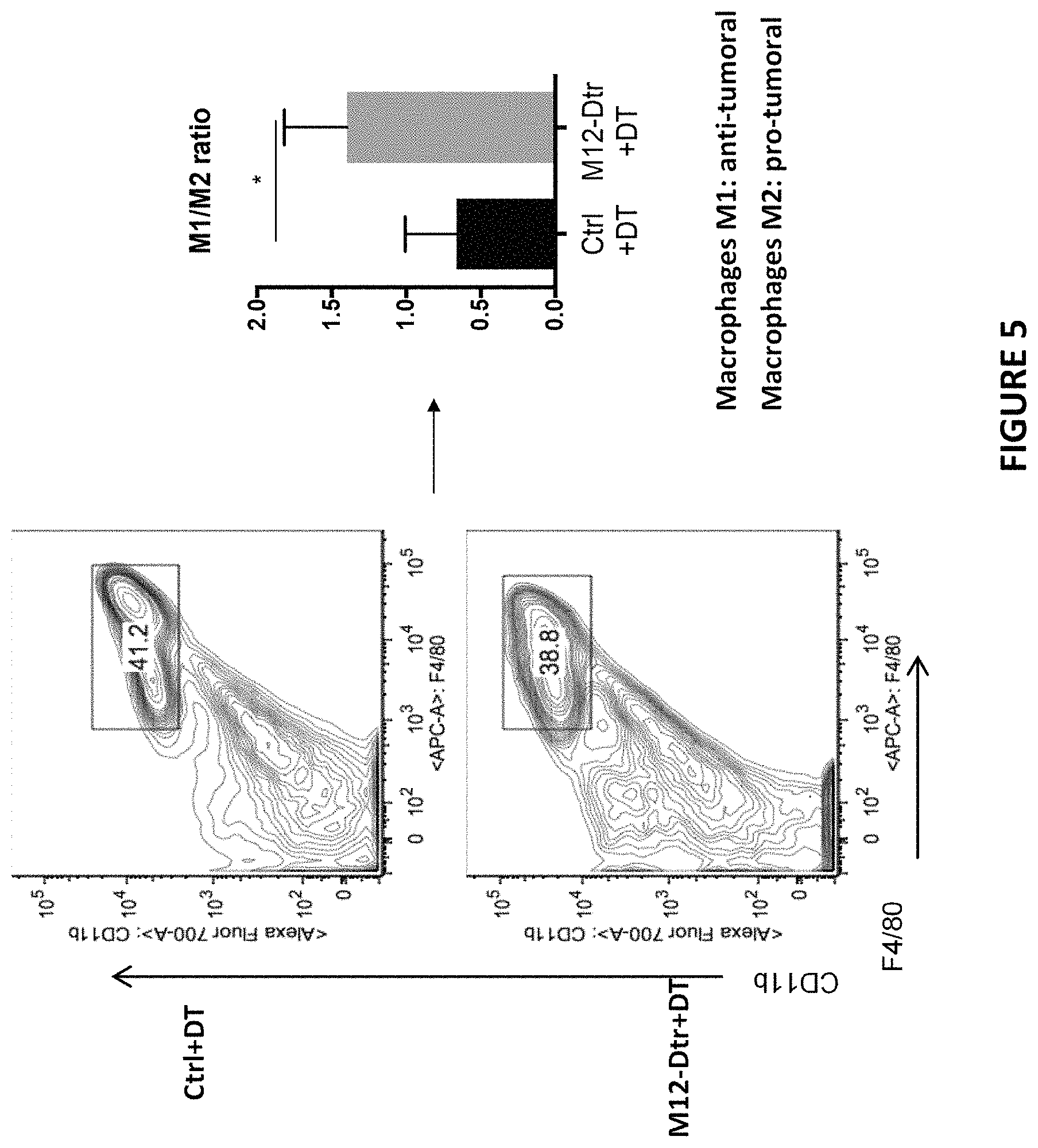 Patent US11780934 Figure 7 – Use of inhibitors of ADAM12 as adjuvants in tumor therapies