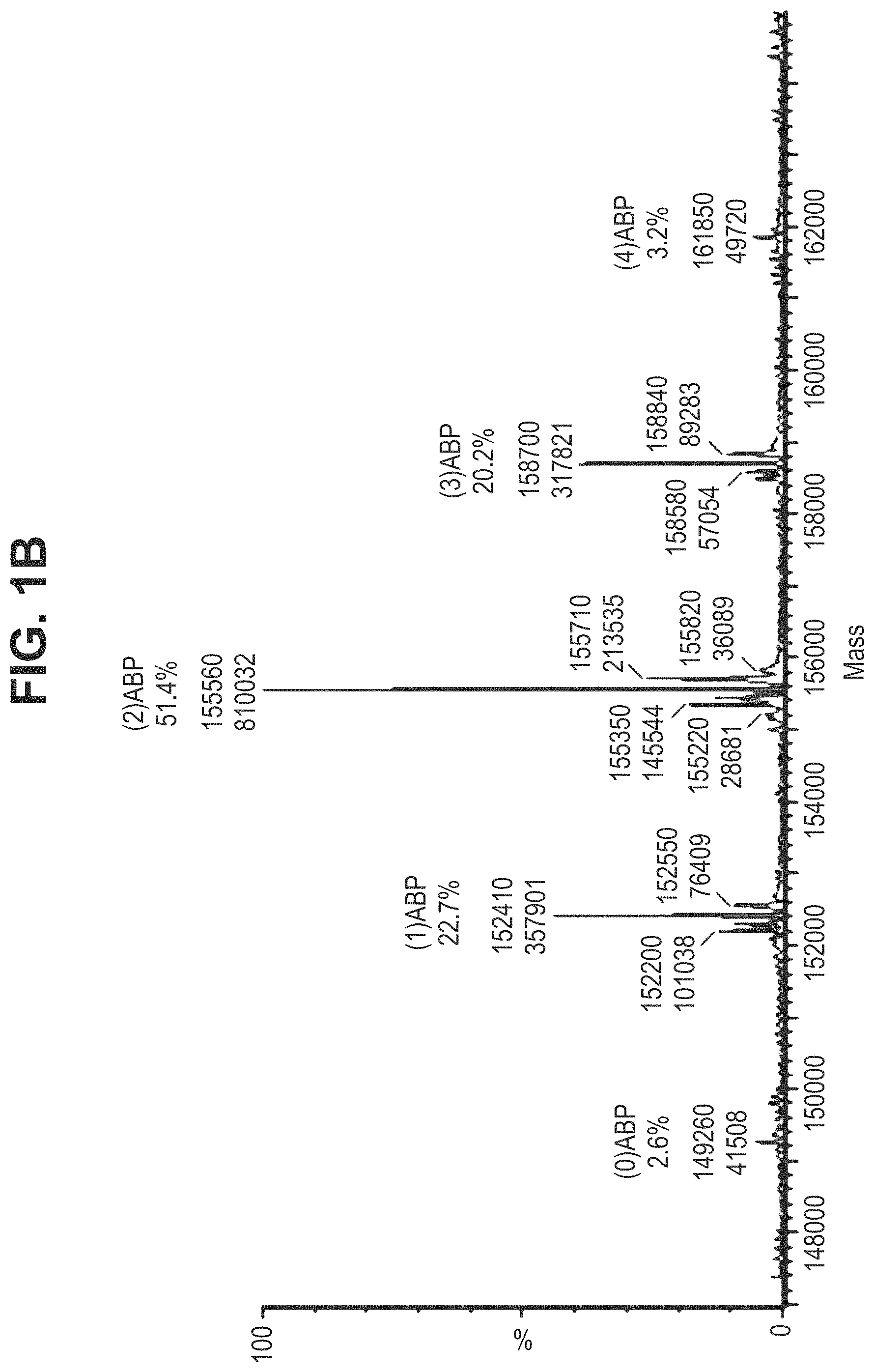 Patent US11780935 Figure 2 – Mutant antibodies and conjugation thereof