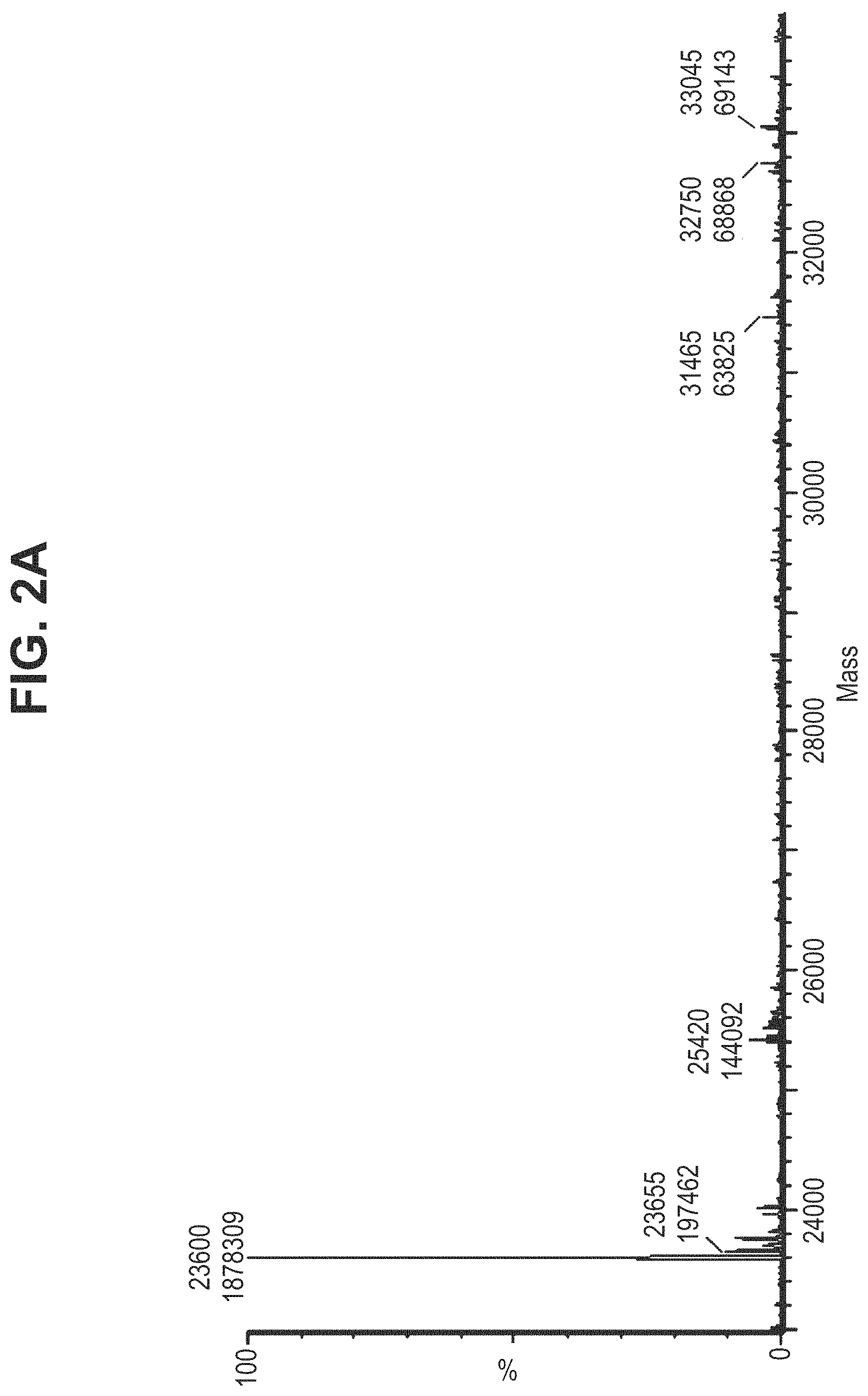 Patent US11780935 Figure 5 – Mutant antibodies and conjugation thereof