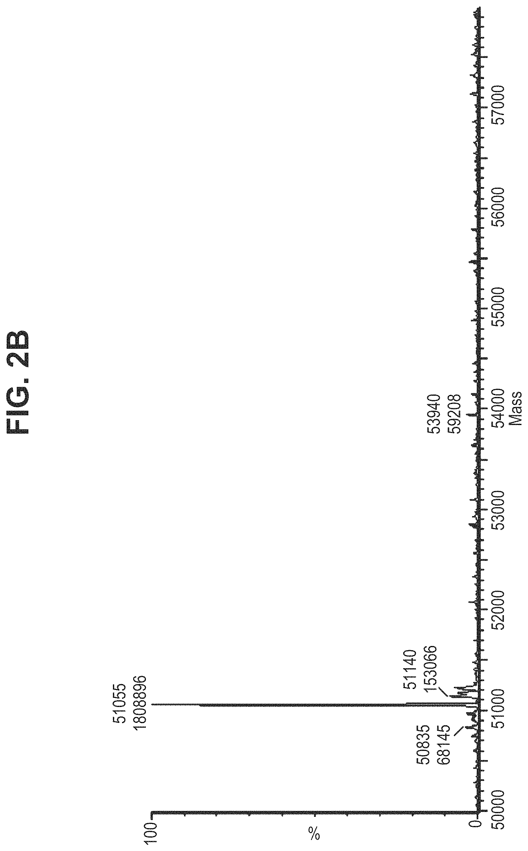 Patent US11780935 Figure 6 – Mutant antibodies and conjugation thereof